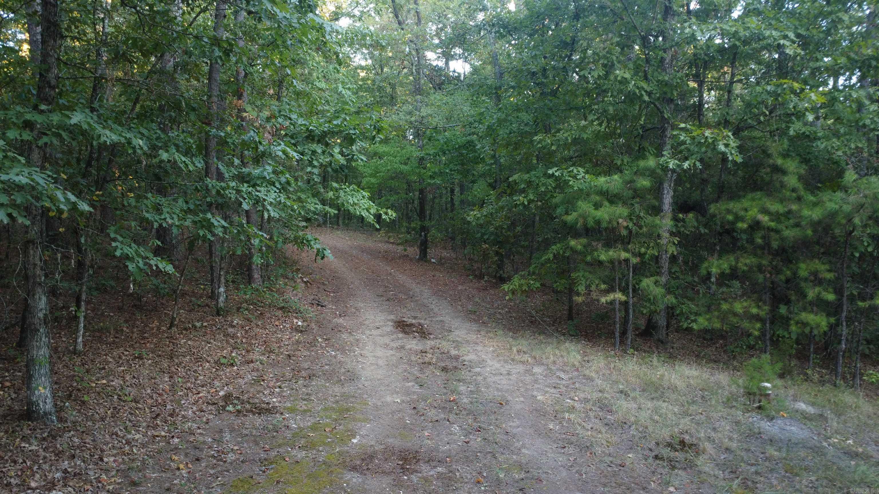 4682 E Hwy 88 Property Photo 39