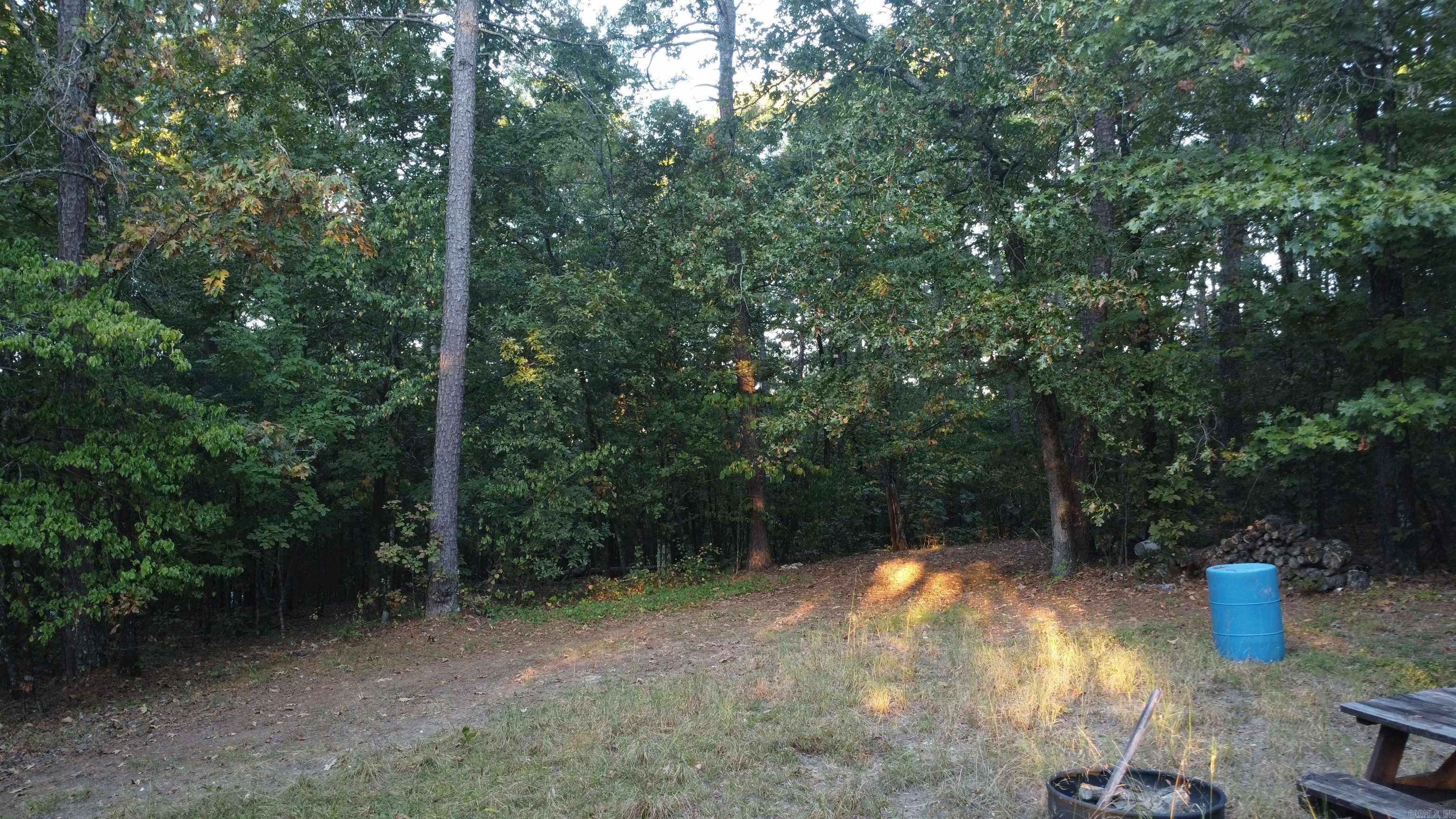 4682 E Hwy 88 Property Photo 43