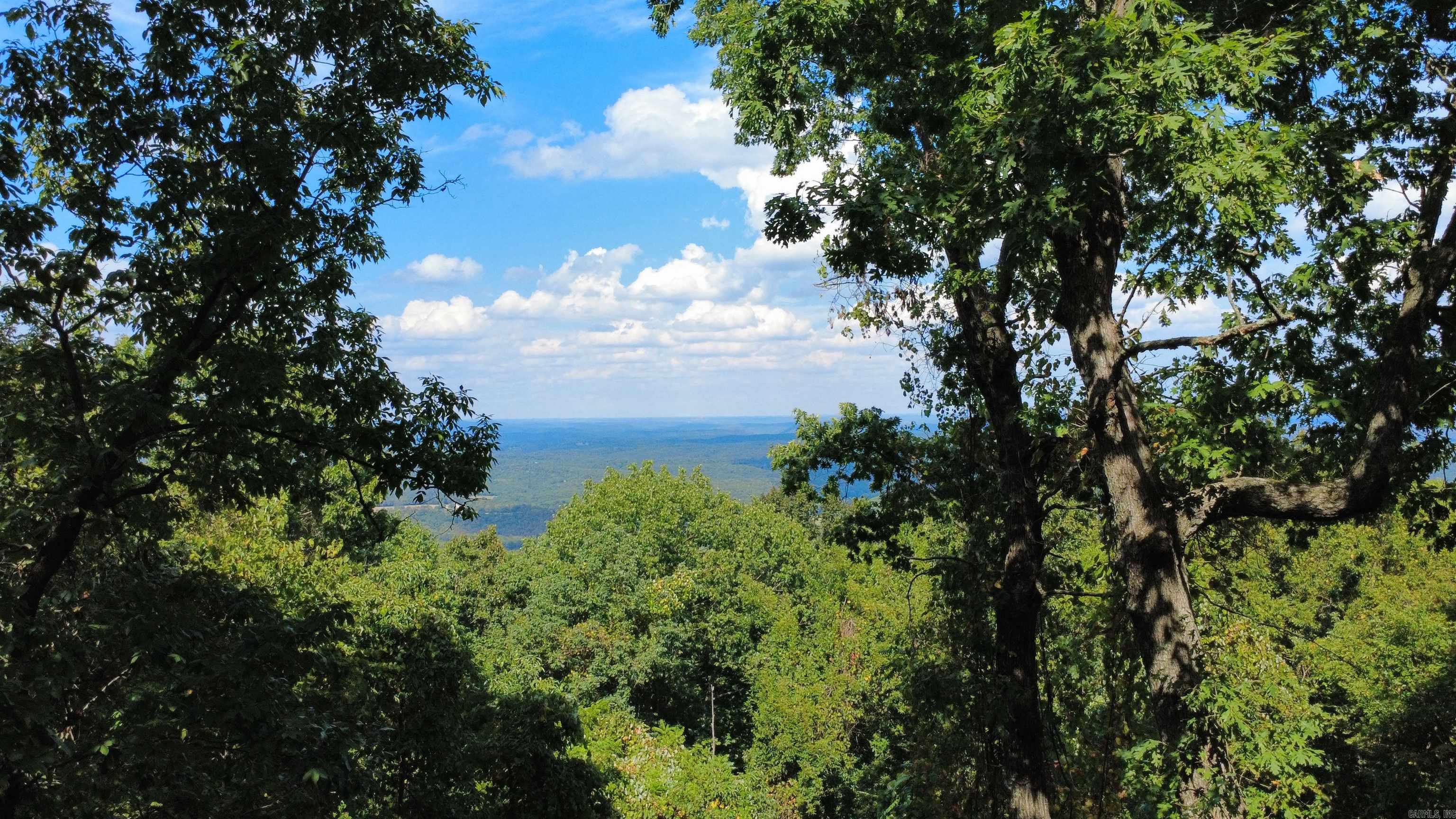 4520 Iron Mountain Road Property Photo 1