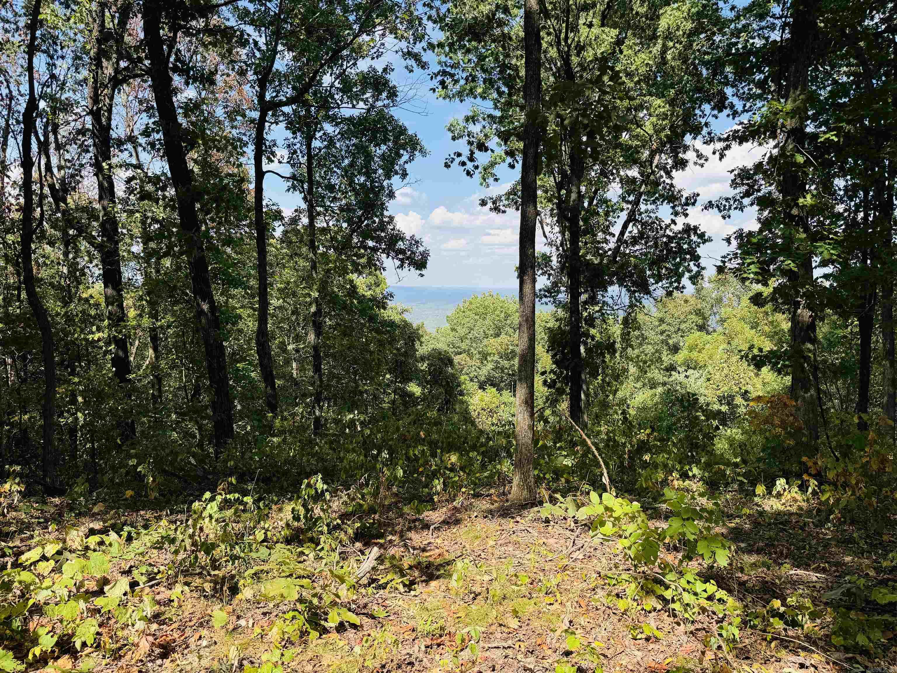 4520 Iron Mountain Road Property Photo 2