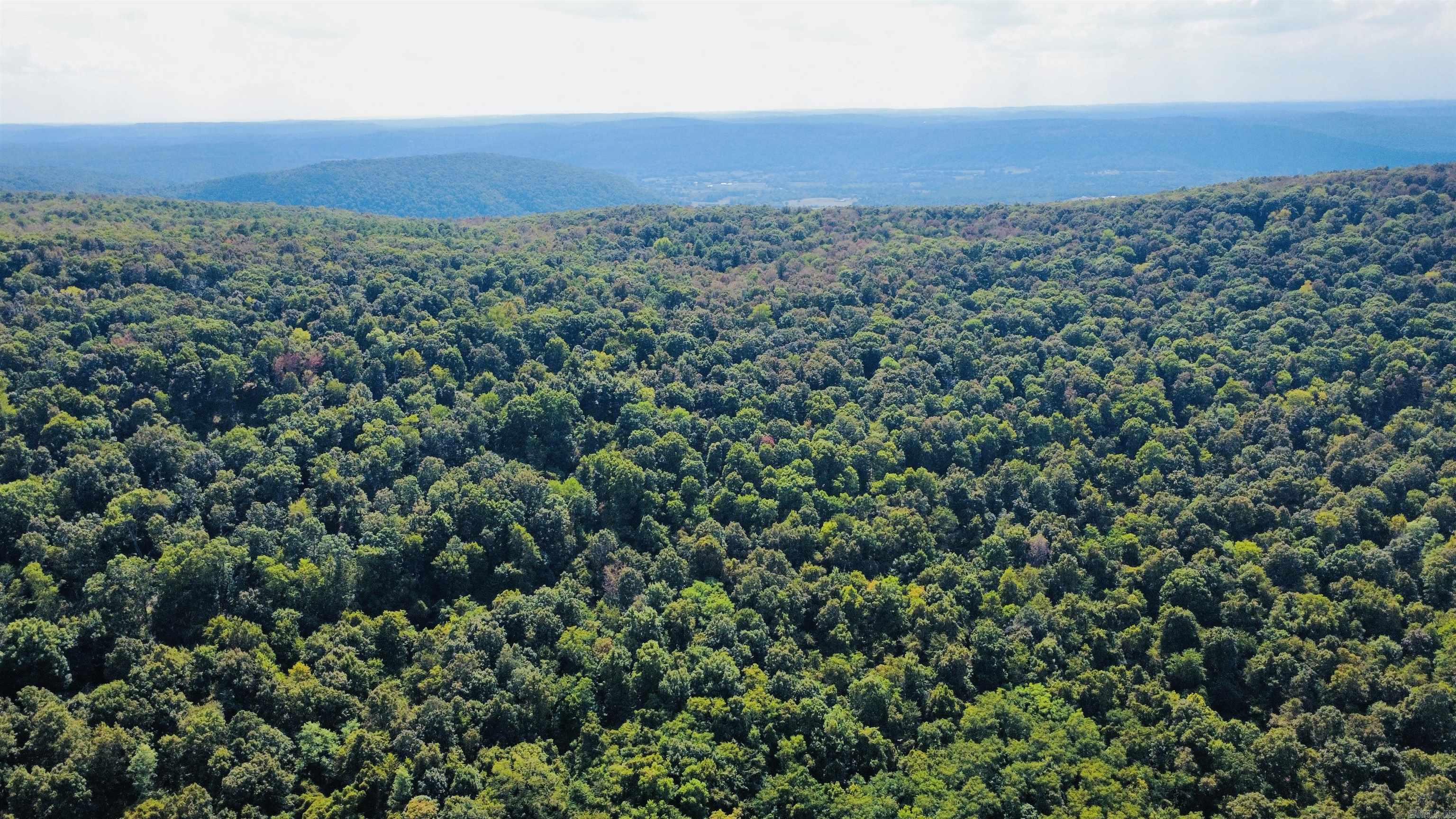 4520 Iron Mountain Road Property Photo 5