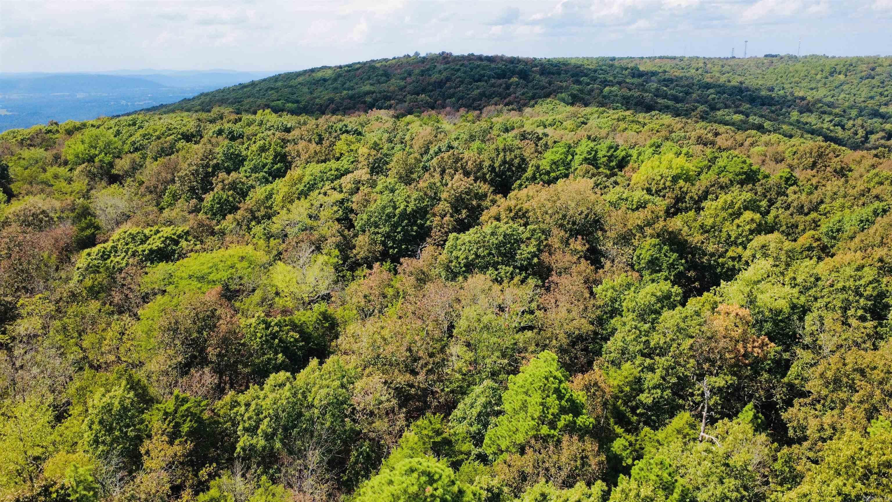 4520 Iron Mountain Road Property Photo 10