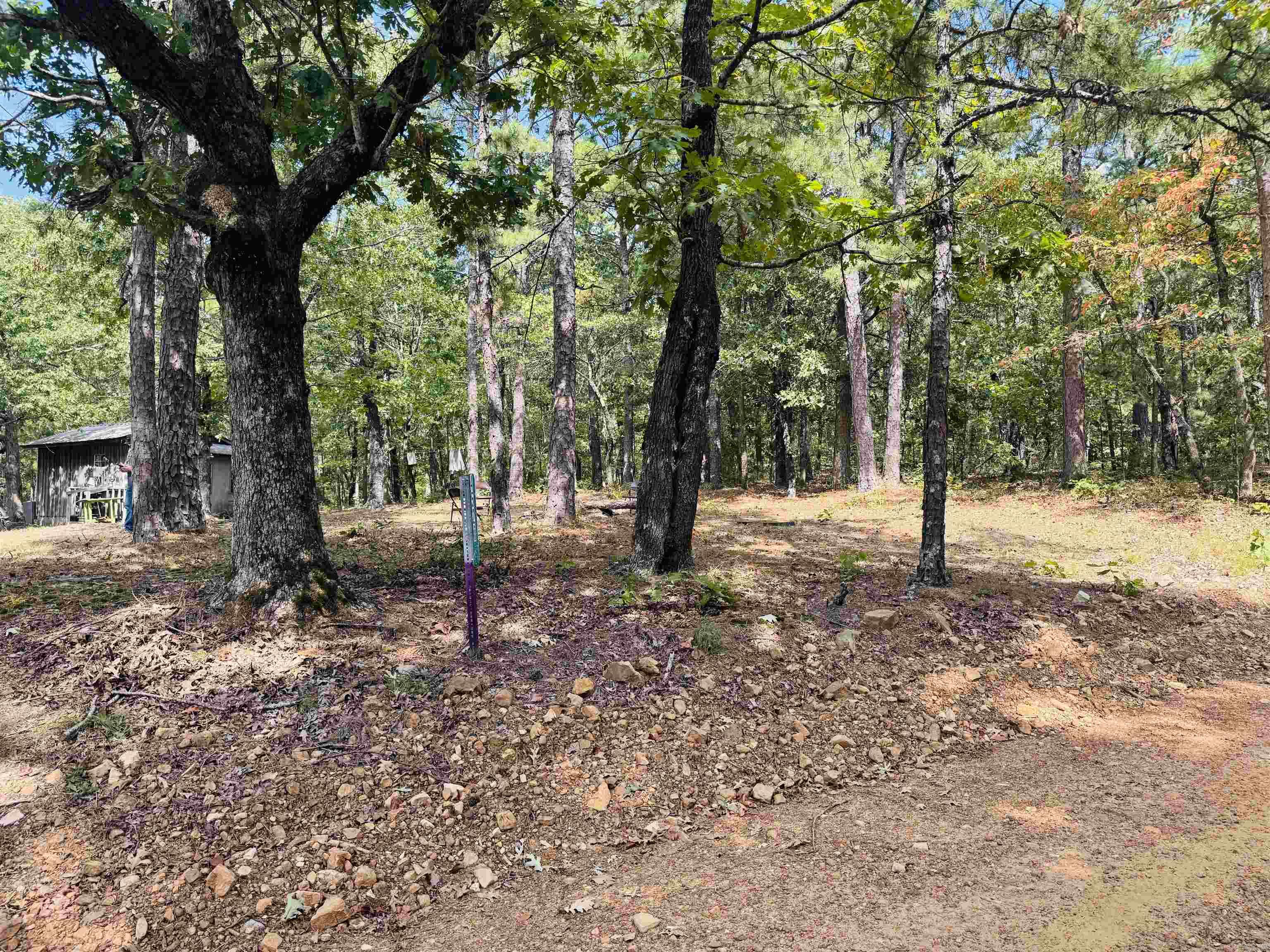4520 Iron Mountain Road Property Photo 14