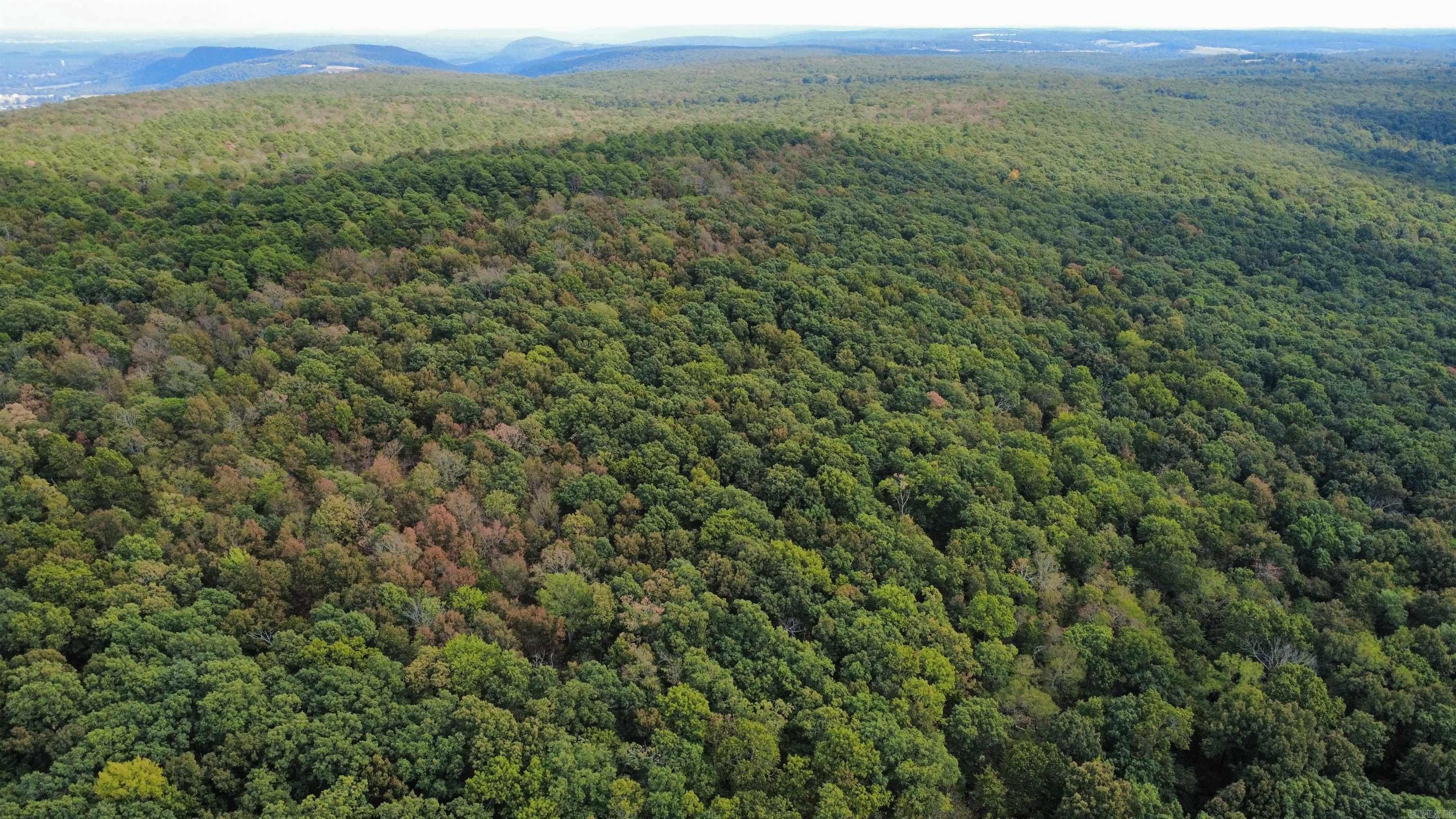 0 Iron Mountain Road Property Photo 1