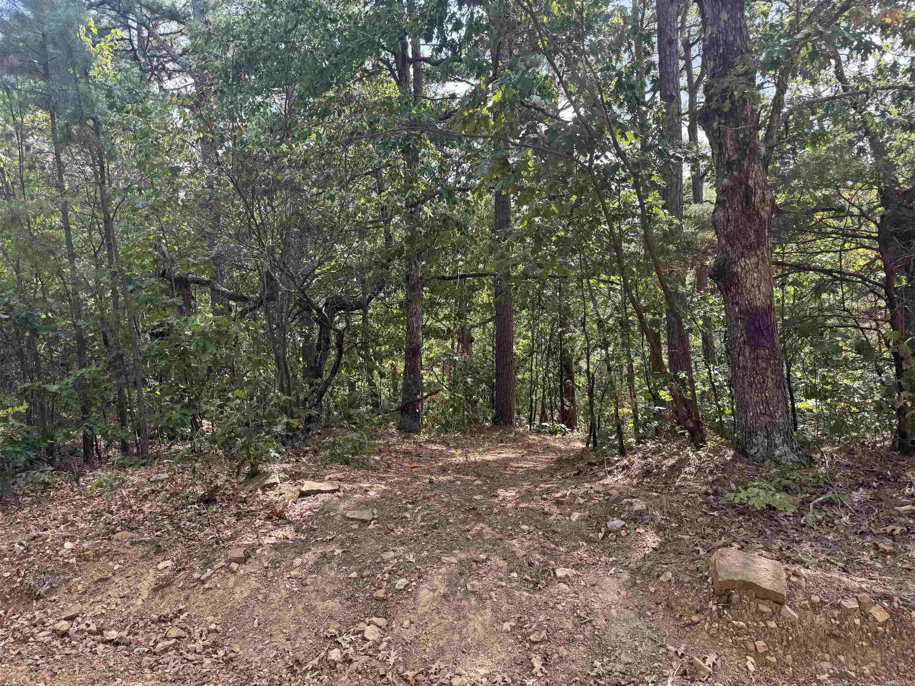 0 Iron Mountain Road Property Photo 2