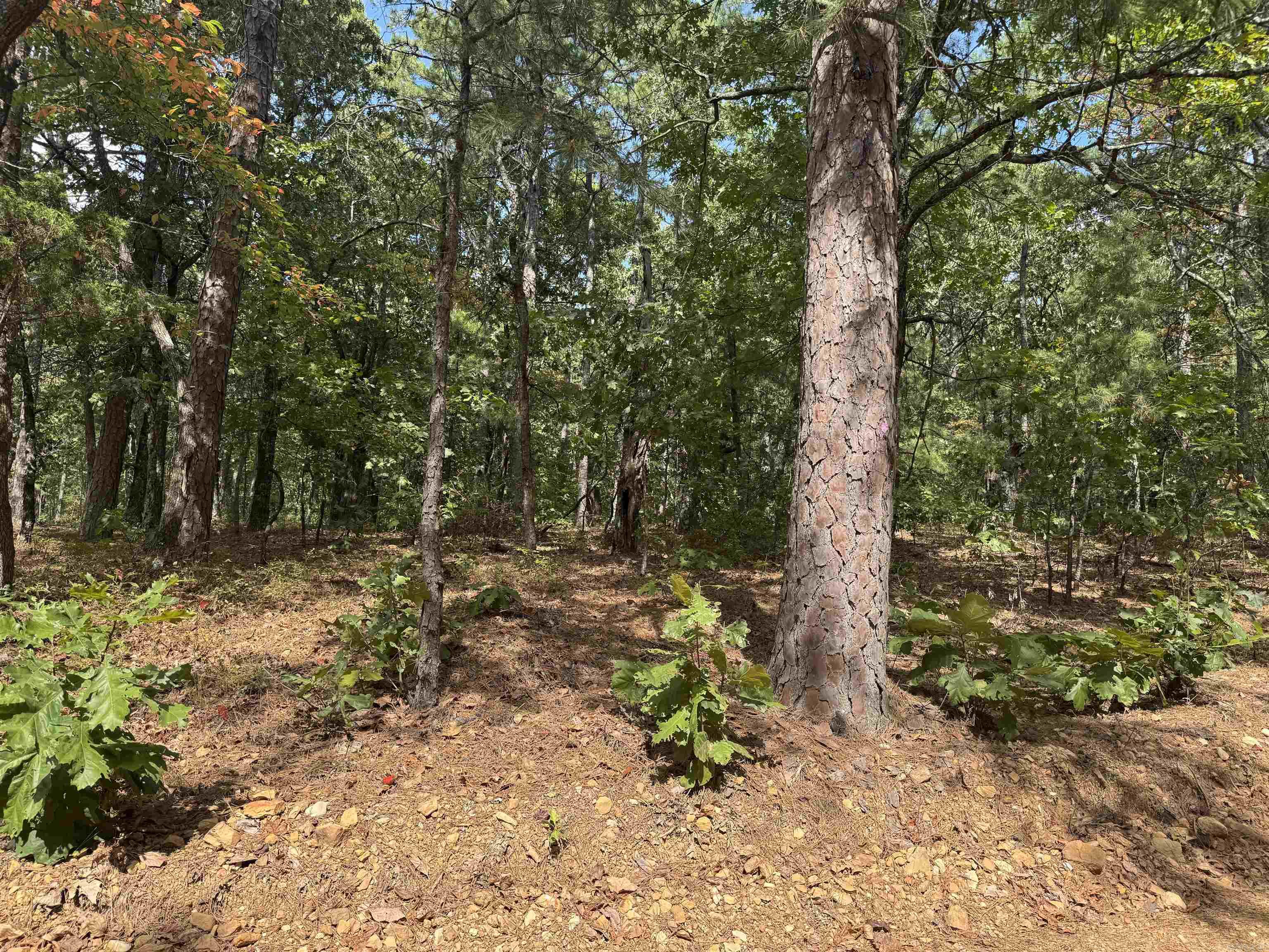 0 Iron Mountain Road Property Photo 4