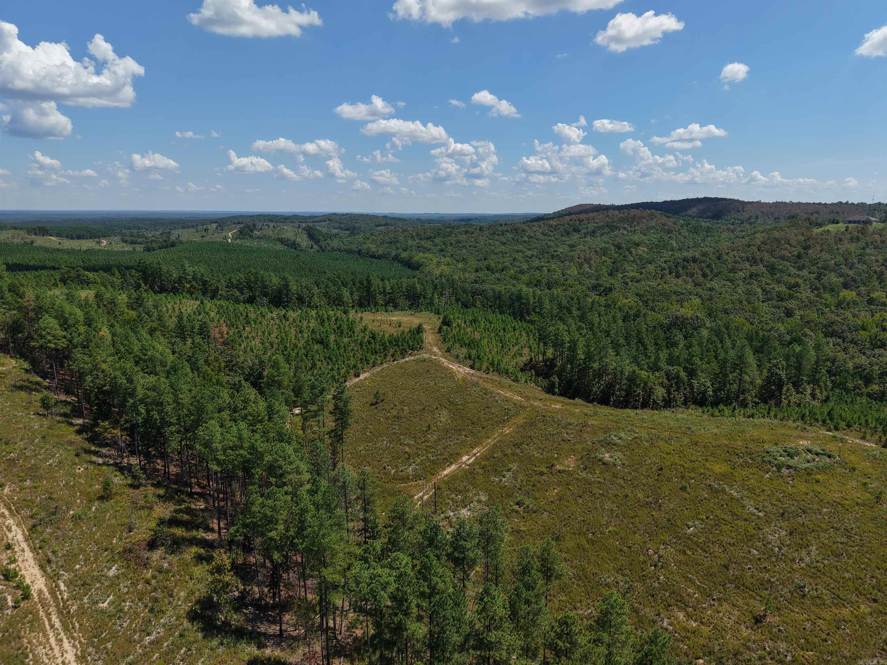 000 Cedar Creek Creek Property Photo 2