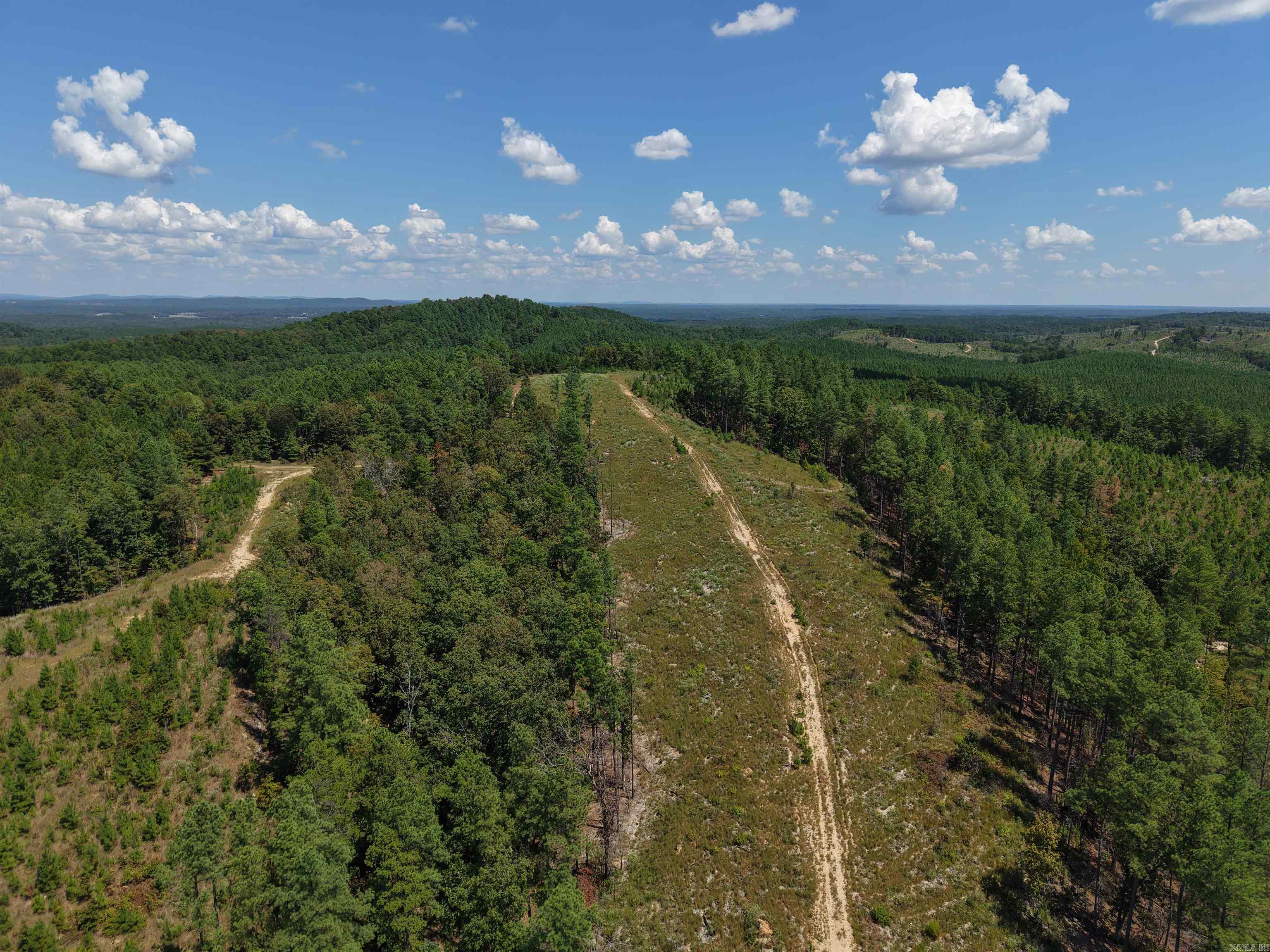 000 Cedar Creek Creek Property Photo 3