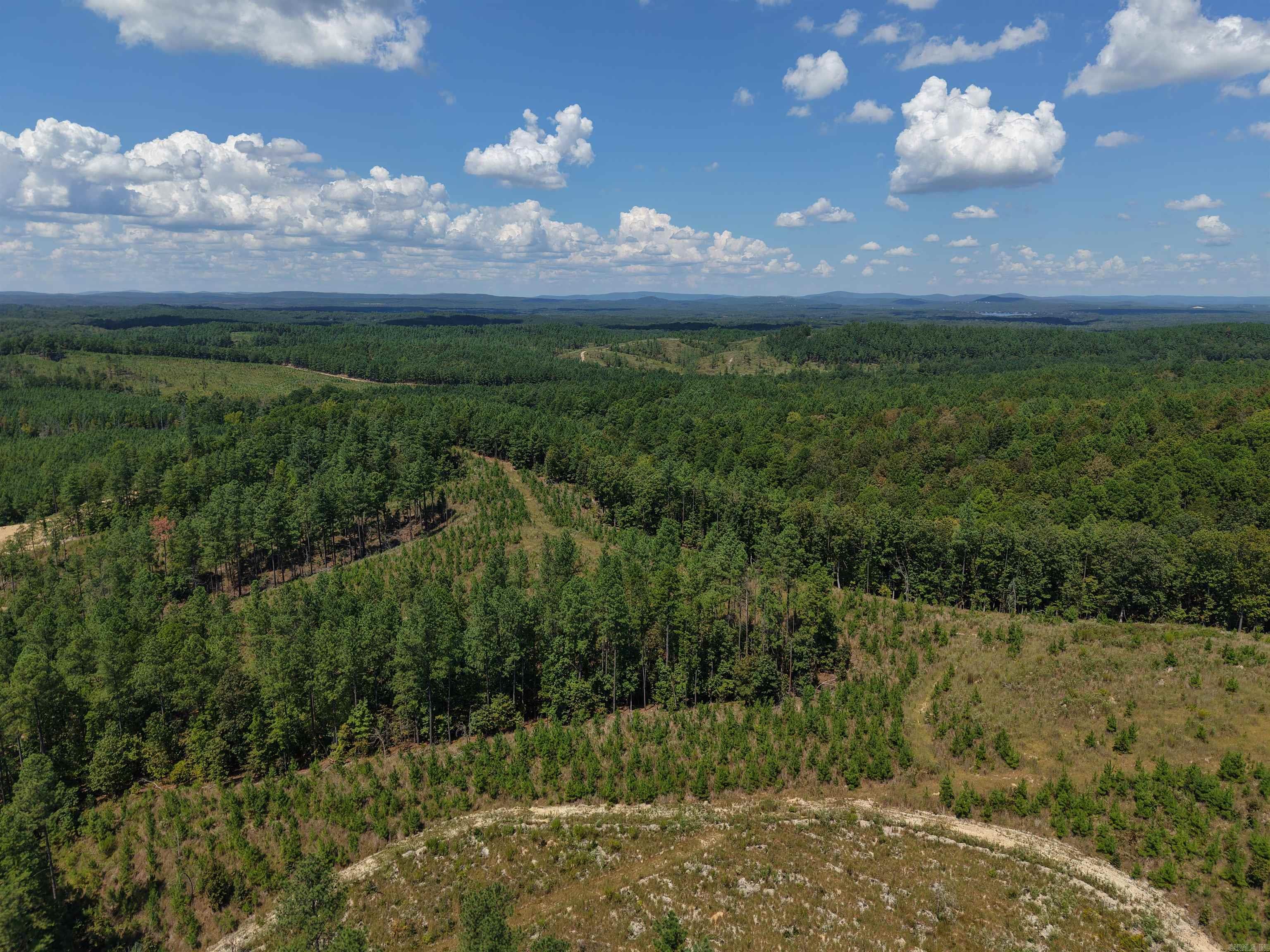 000 Cedar Creek Creek Property Photo 4