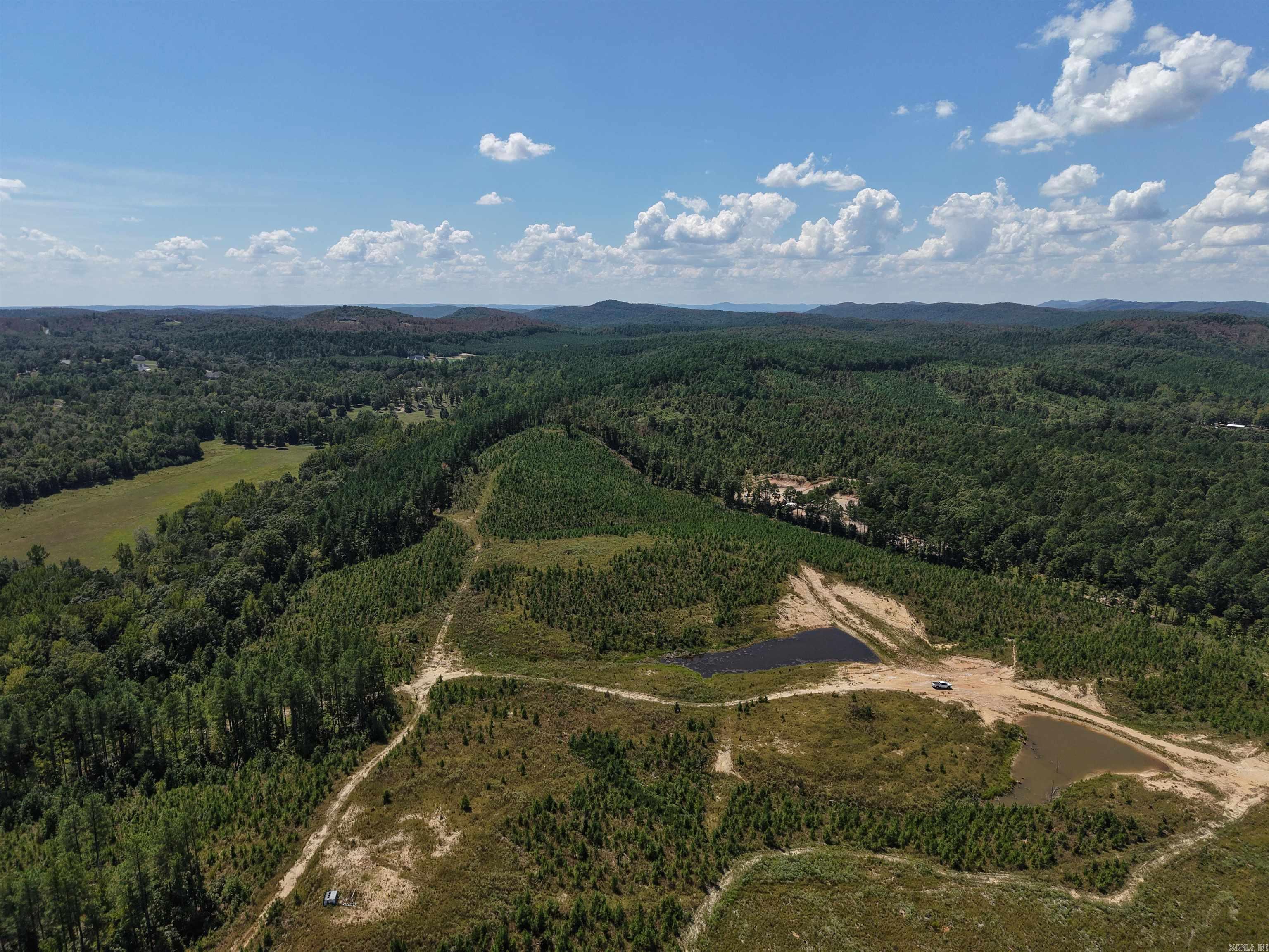 000 Cedar Creek Creek Property Photo 5