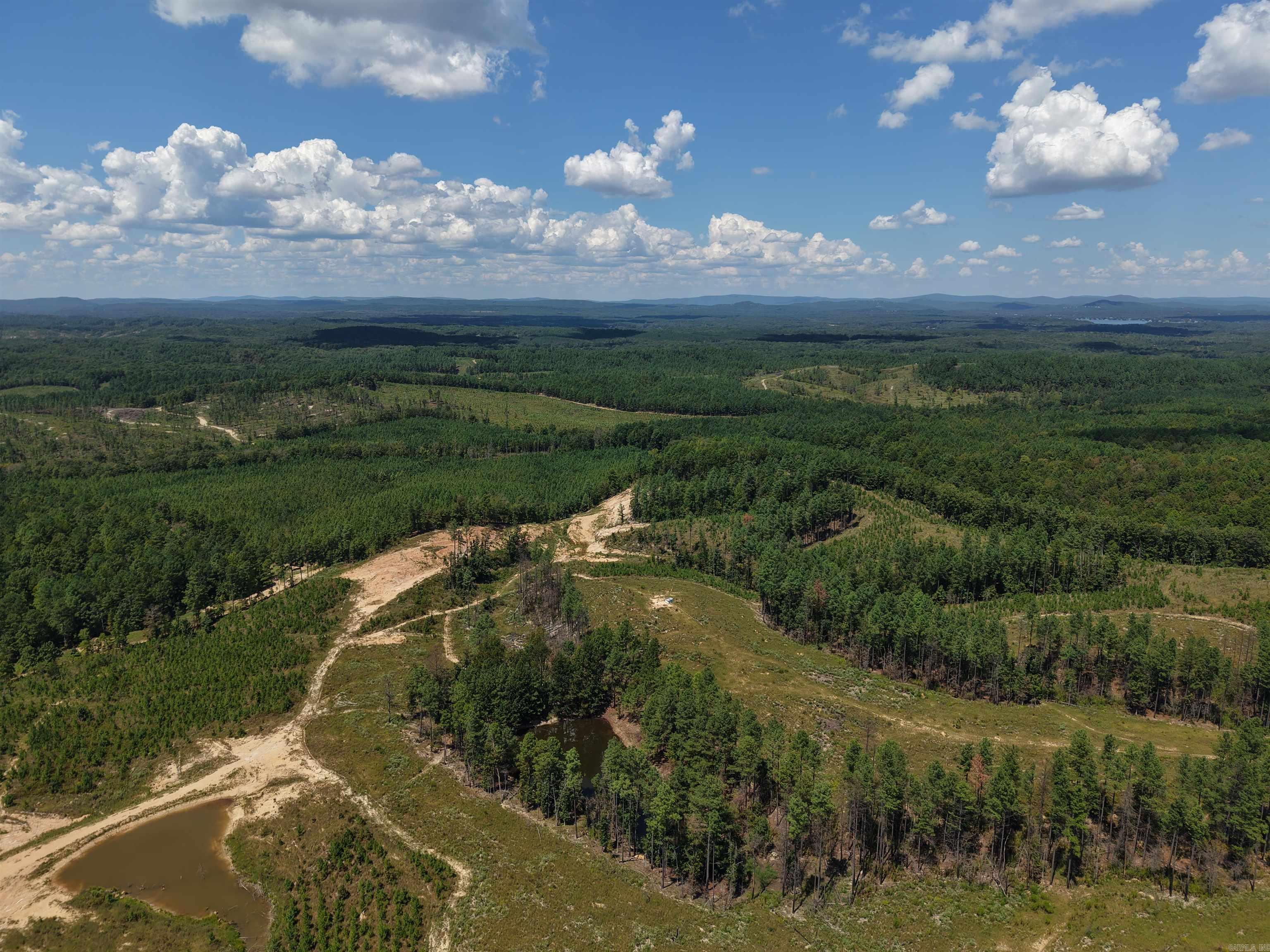 000 Cedar Creek Creek Property Photo 6