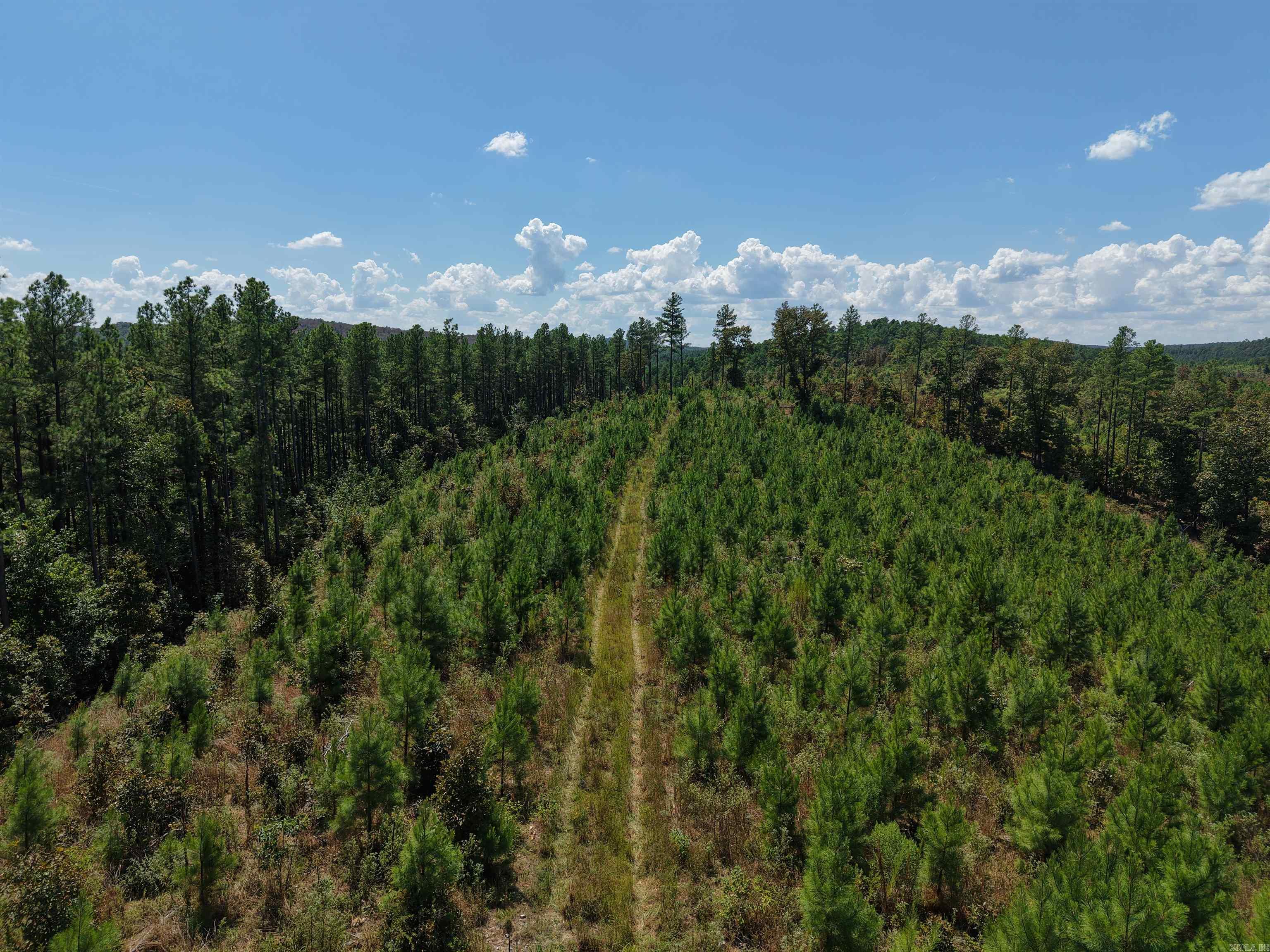 000 Cedar Creek Creek Property Photo 8