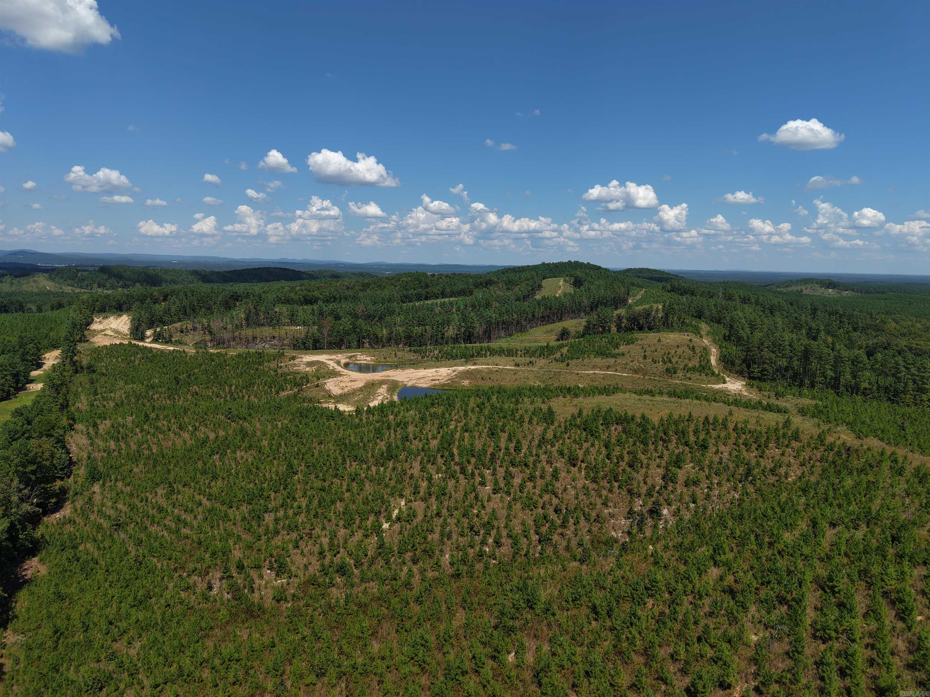 000 Cedar Creek Creek Property Photo 9