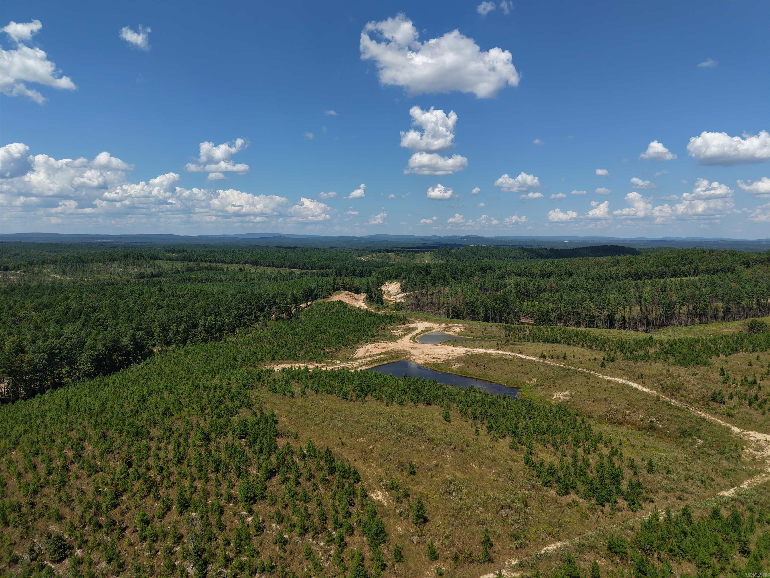 000 Cedar Creek Creek Property Photo 10