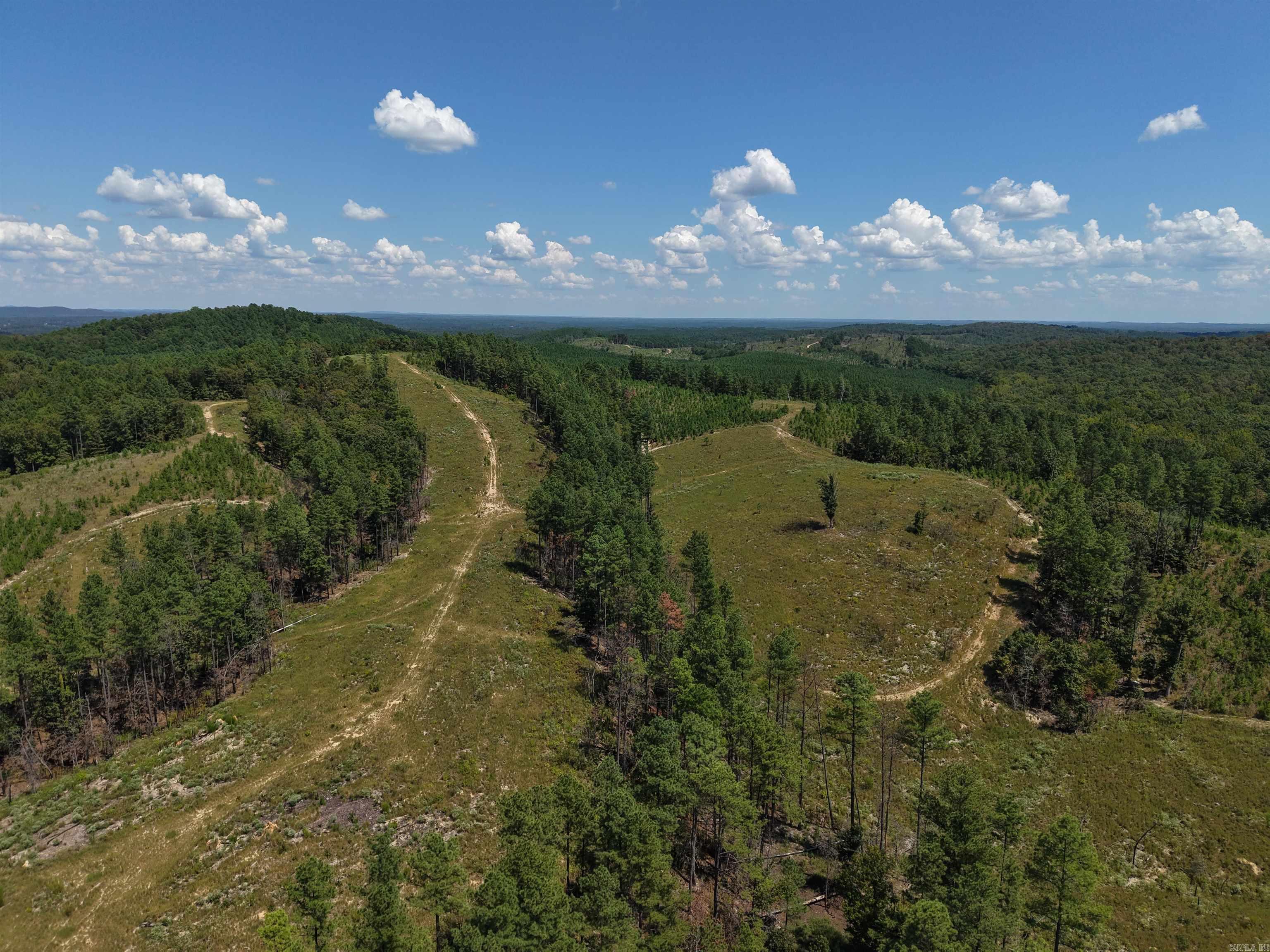 000 Cedar Creek Creek Property Photo 11