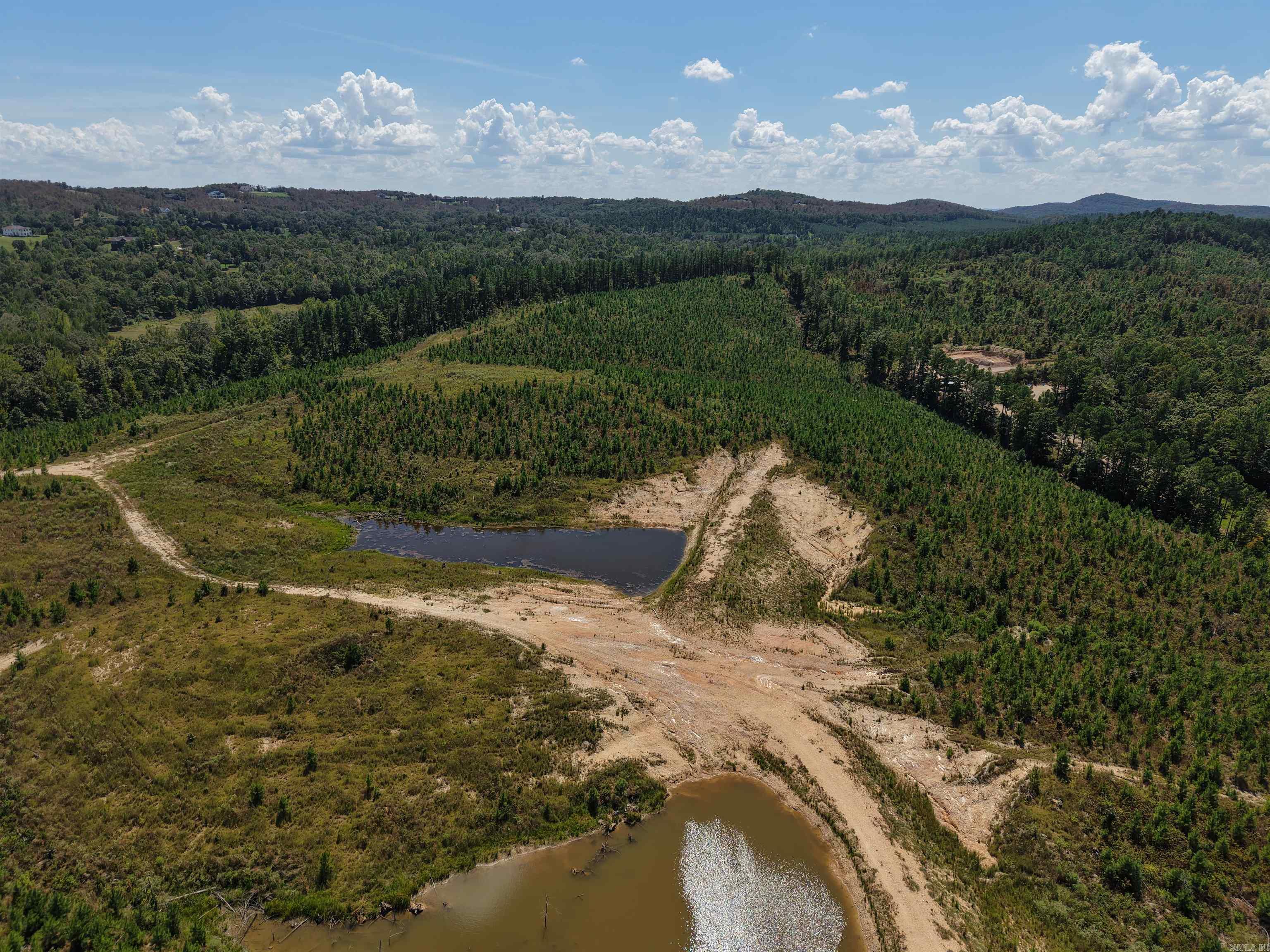 000 Cedar Creek Creek Property Photo 12