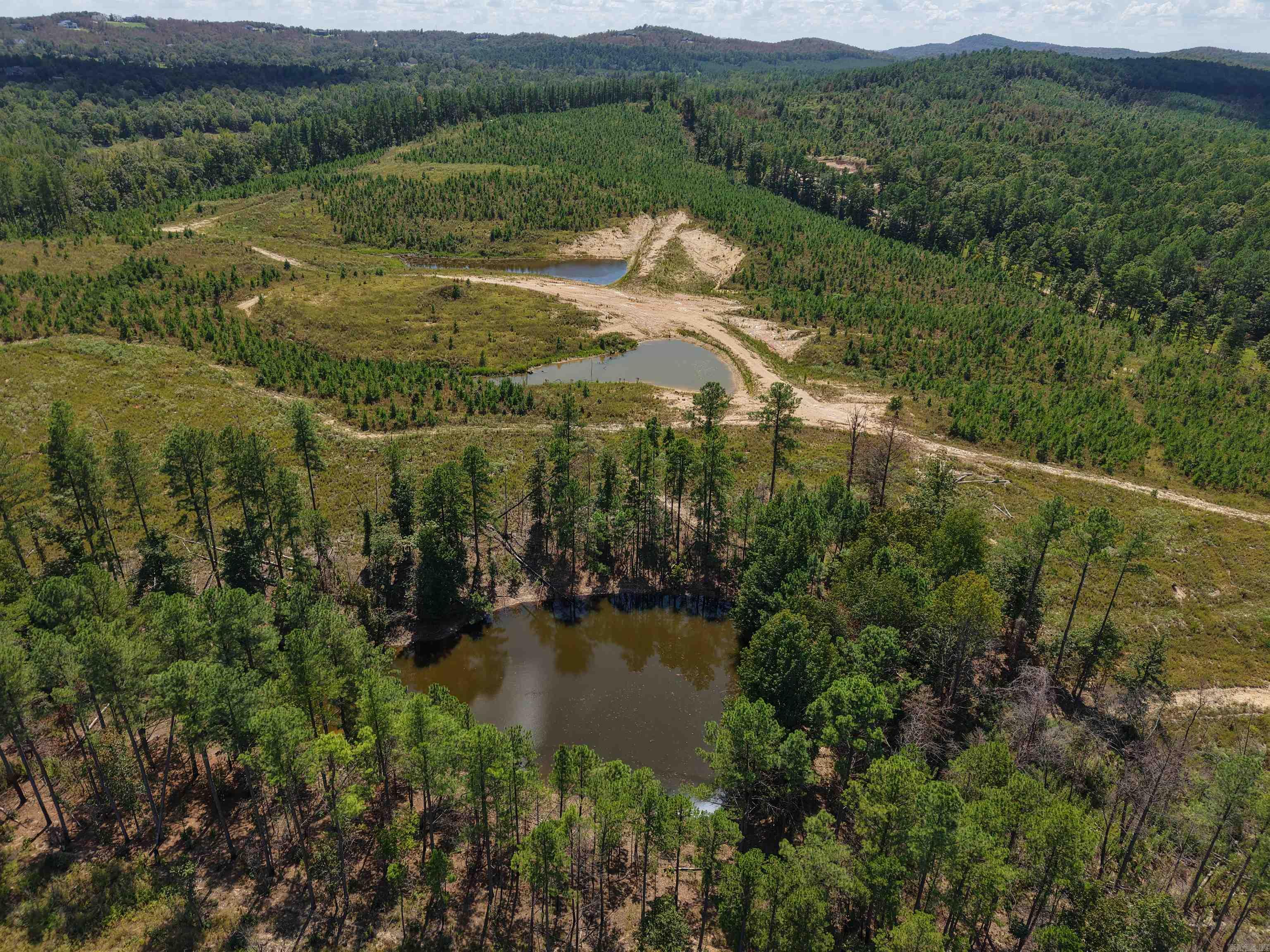 000 Cedar Creek Creek Property Photo 13