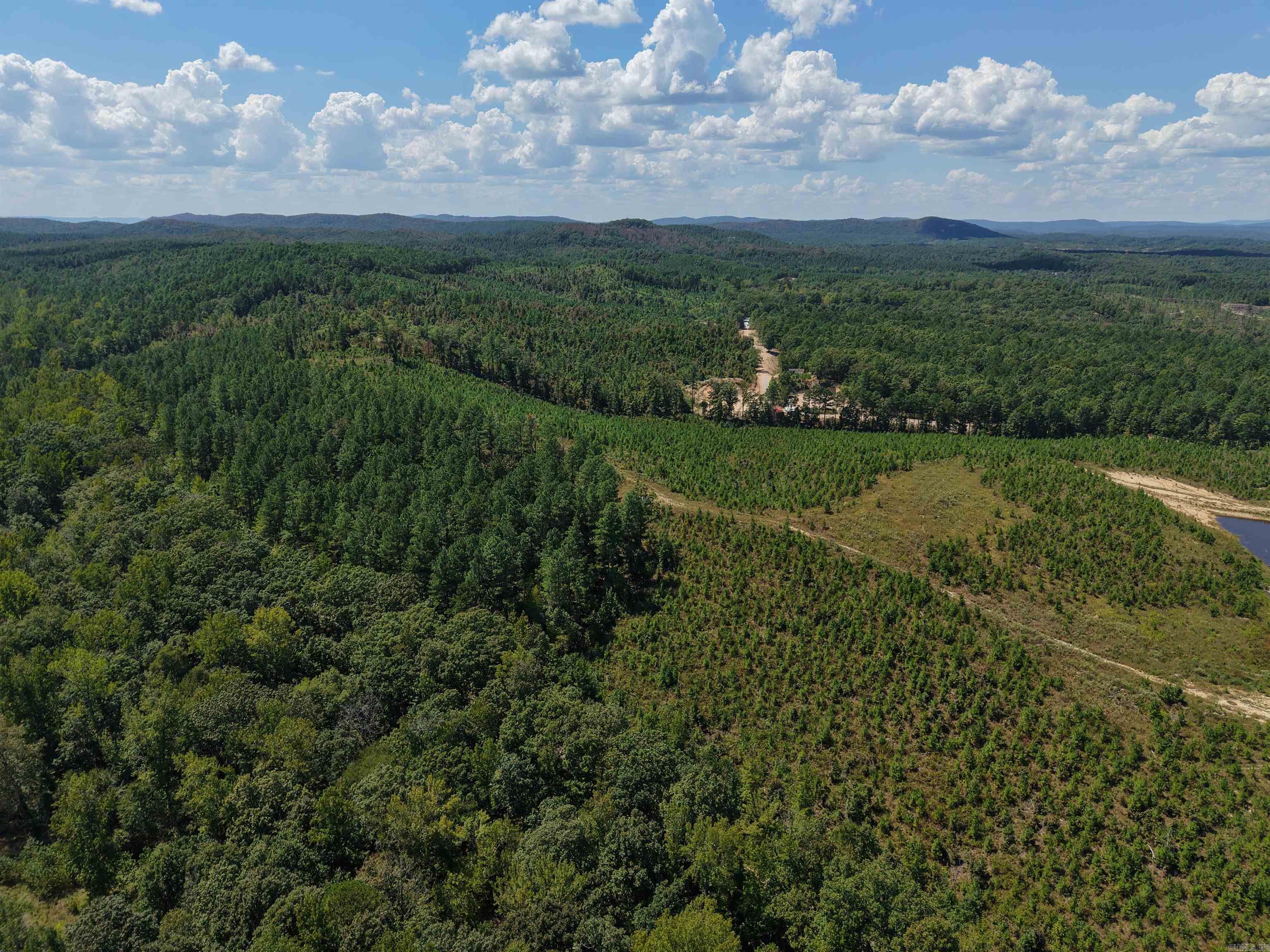 000 Cedar Creek Creek Property Photo 16