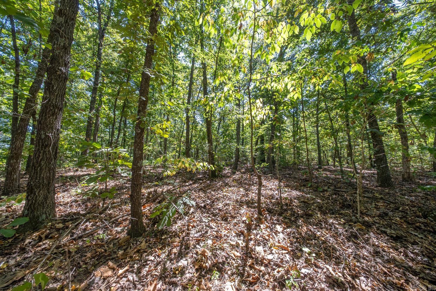 000 Valley View Trail Property Photo 4