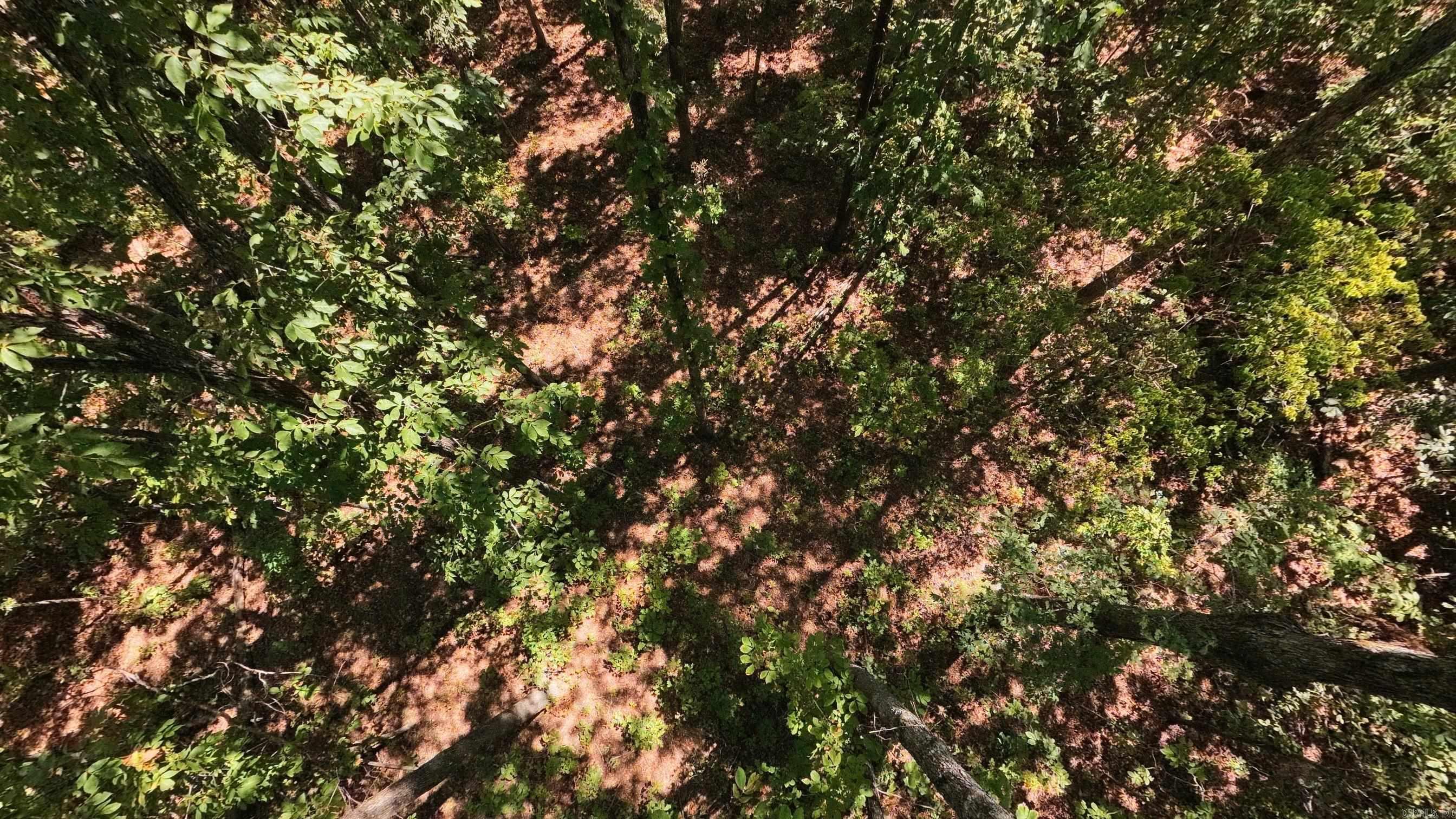 000 Valley View Trail Property Photo 7