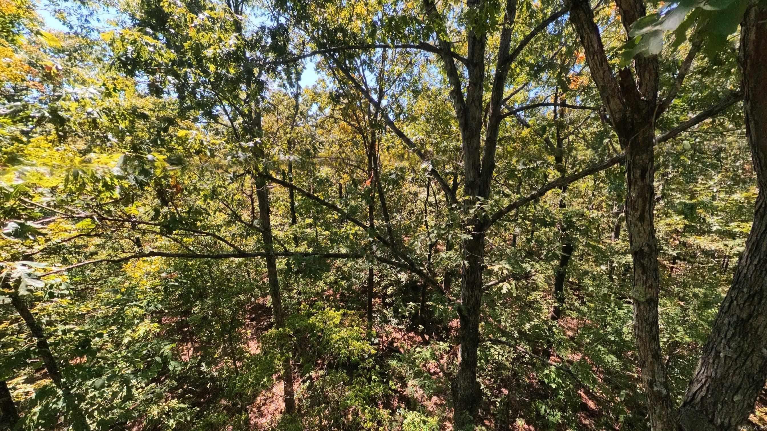 000 Valley View Trail Property Photo 8