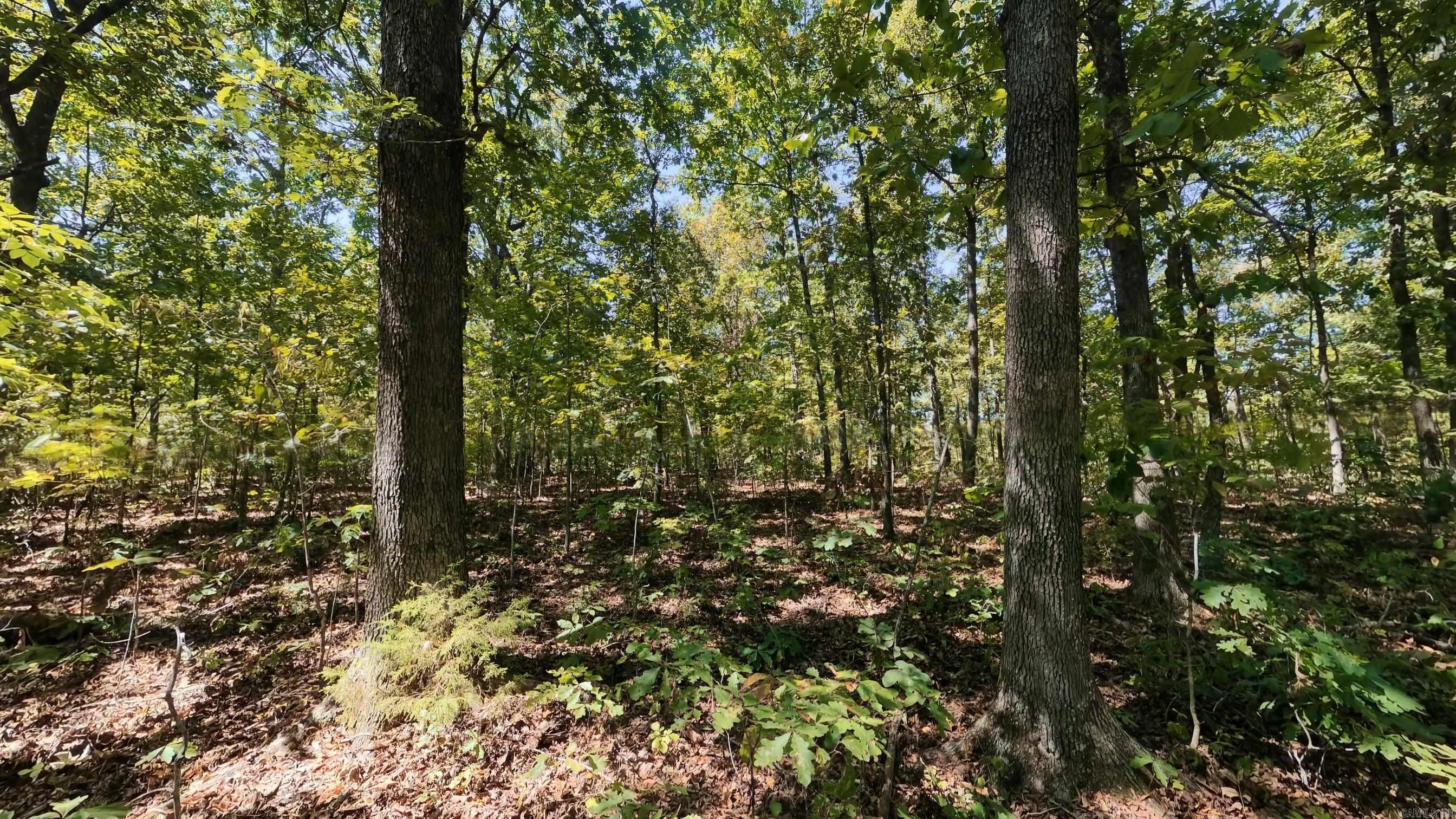 000 Valley View Trail Property Photo 9