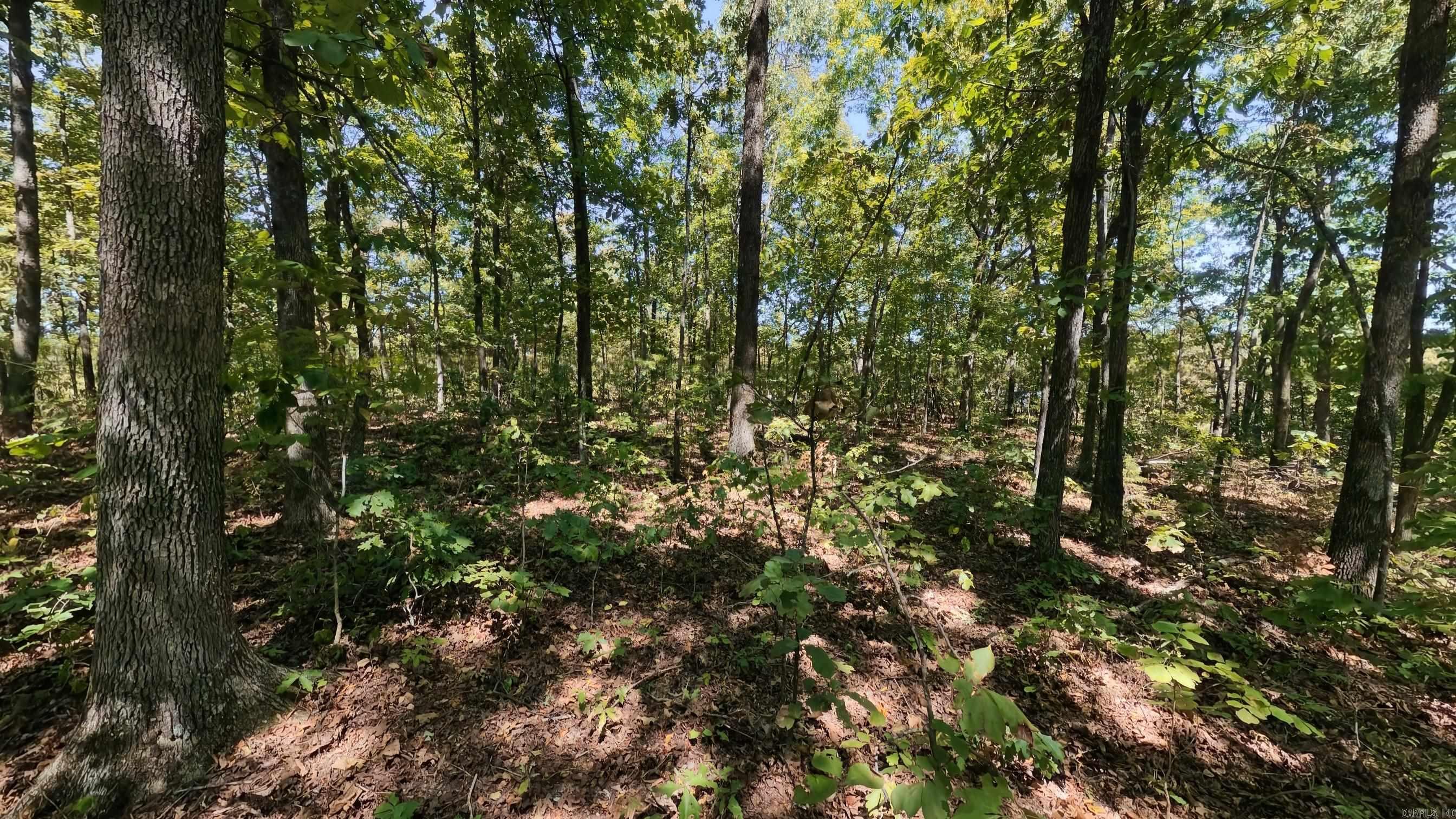 000 Valley View Trail Property Photo 11