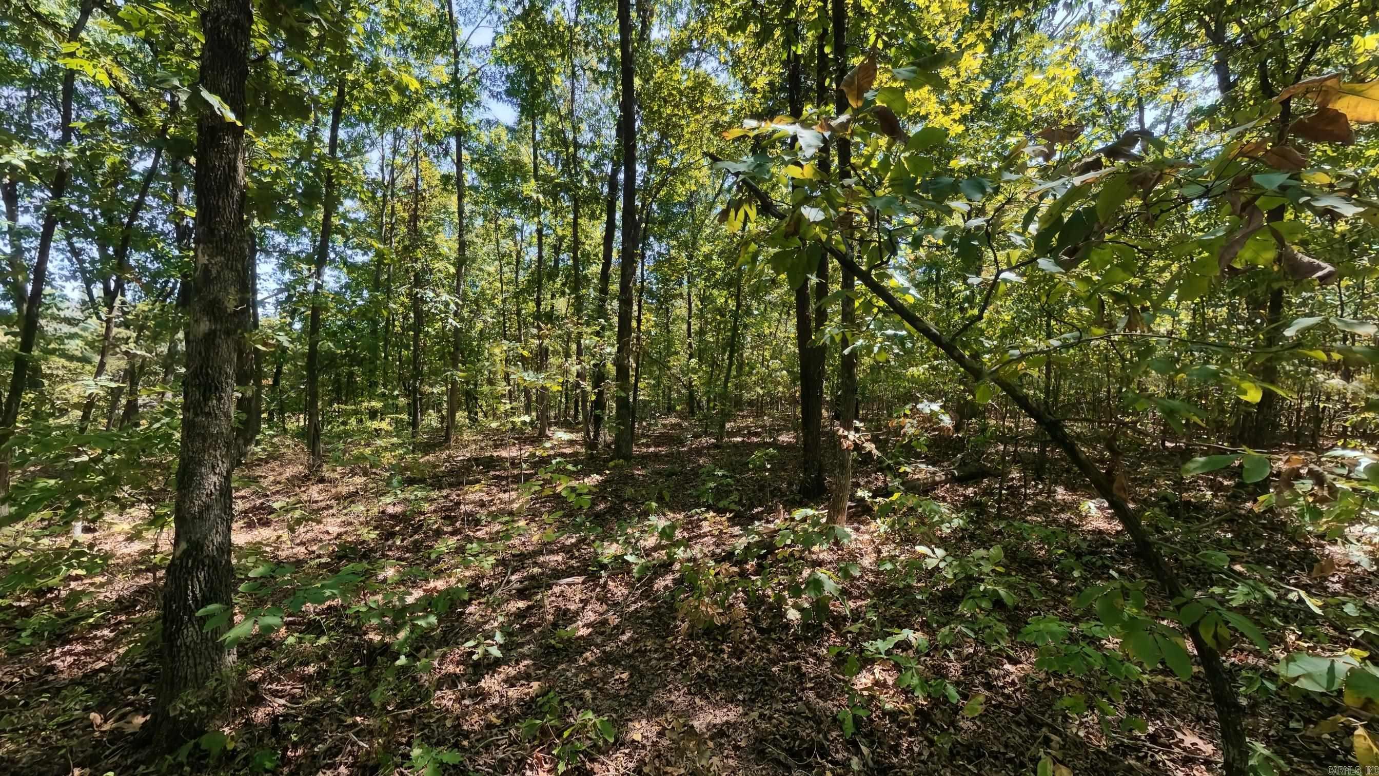 000 Valley View Trail Property Photo 12