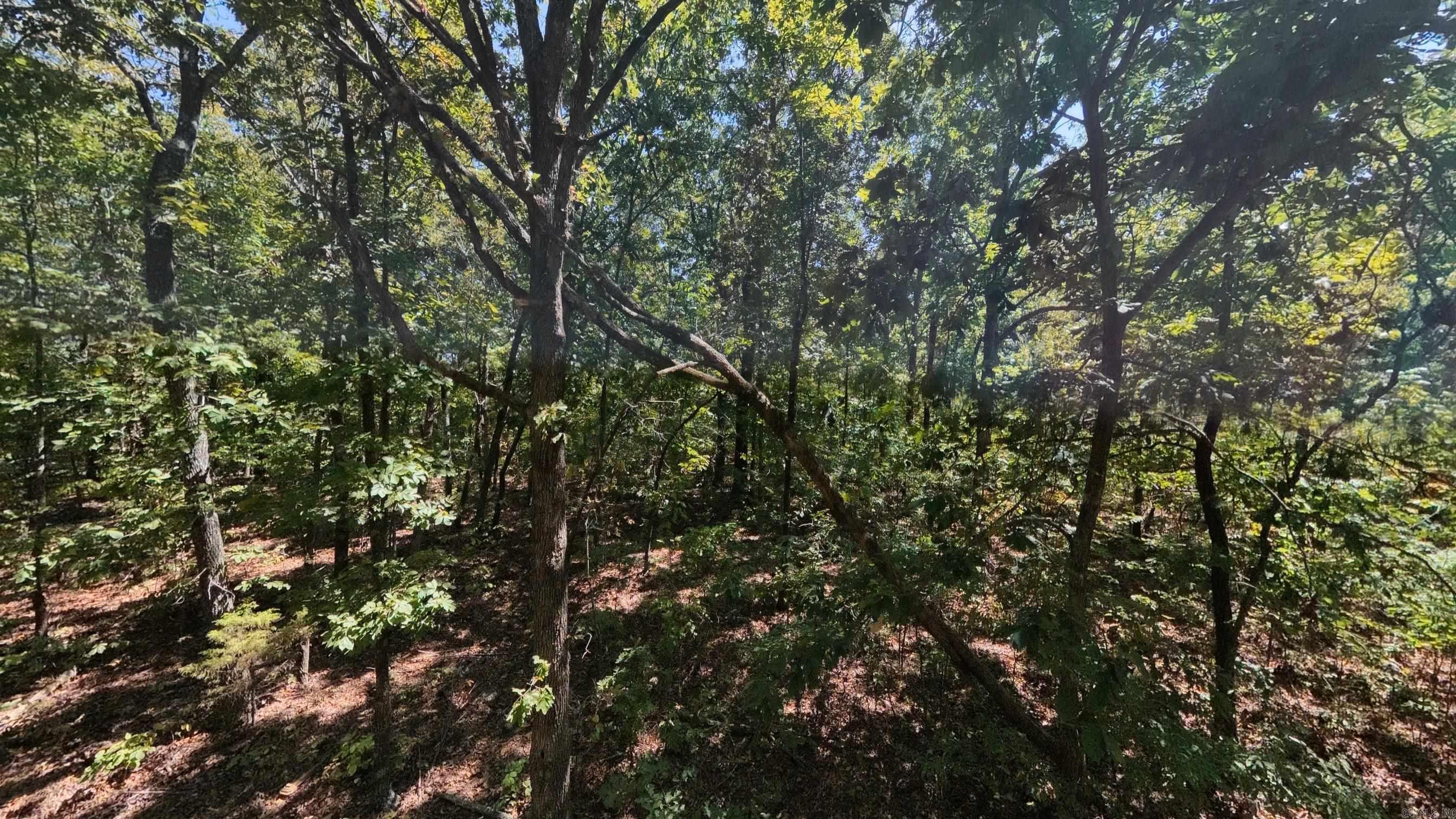 000 Valley View Trail Property Photo 15
