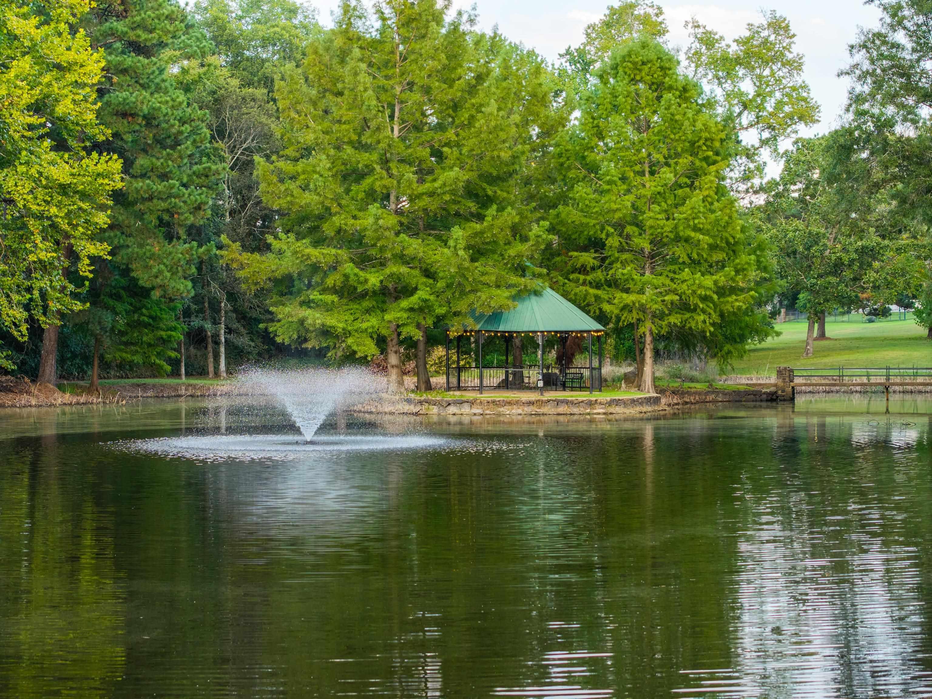 312 Lotus Loop Property Photo 47