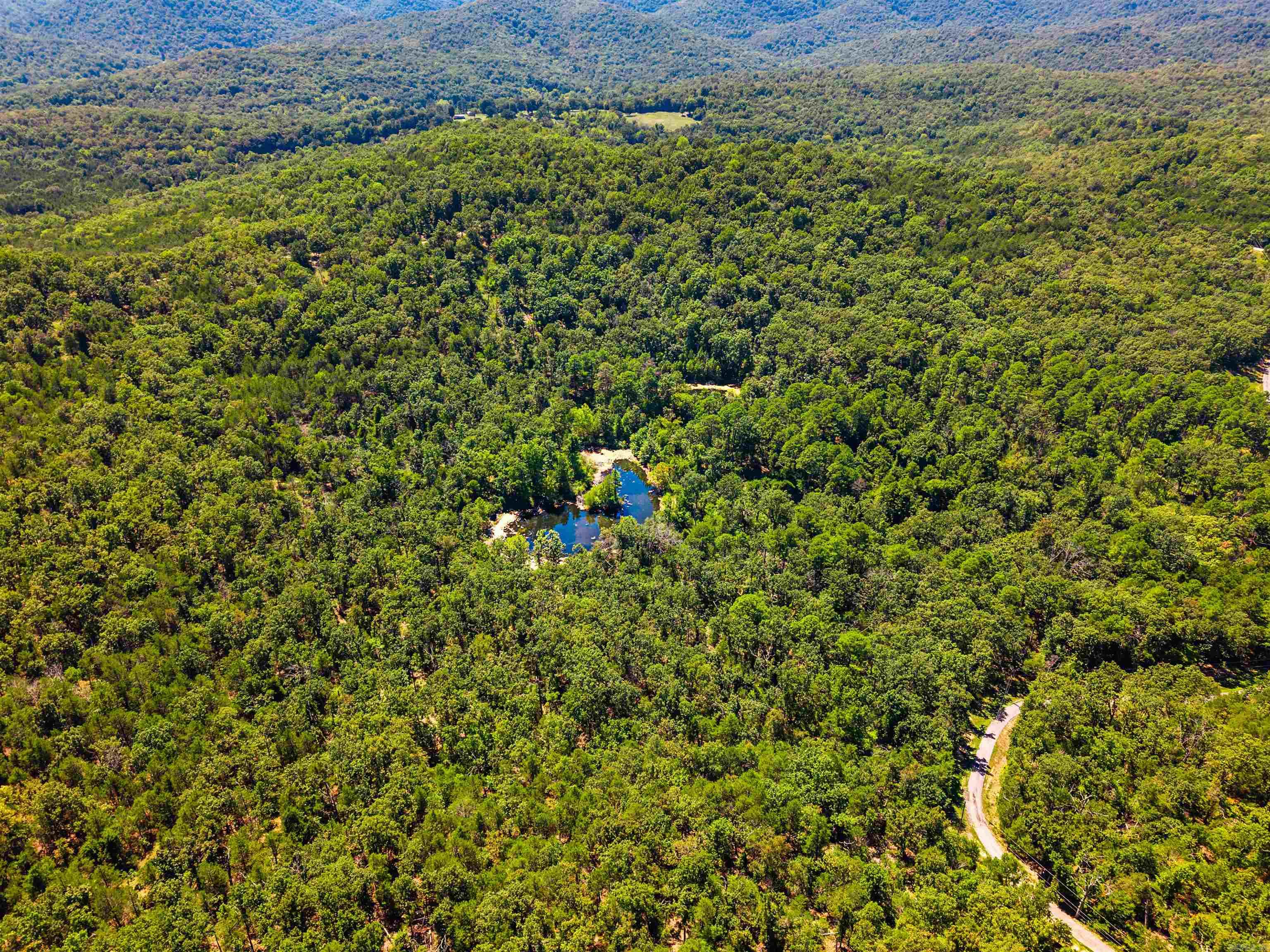 1499 Ollie Mountain Lane Property Photo 1