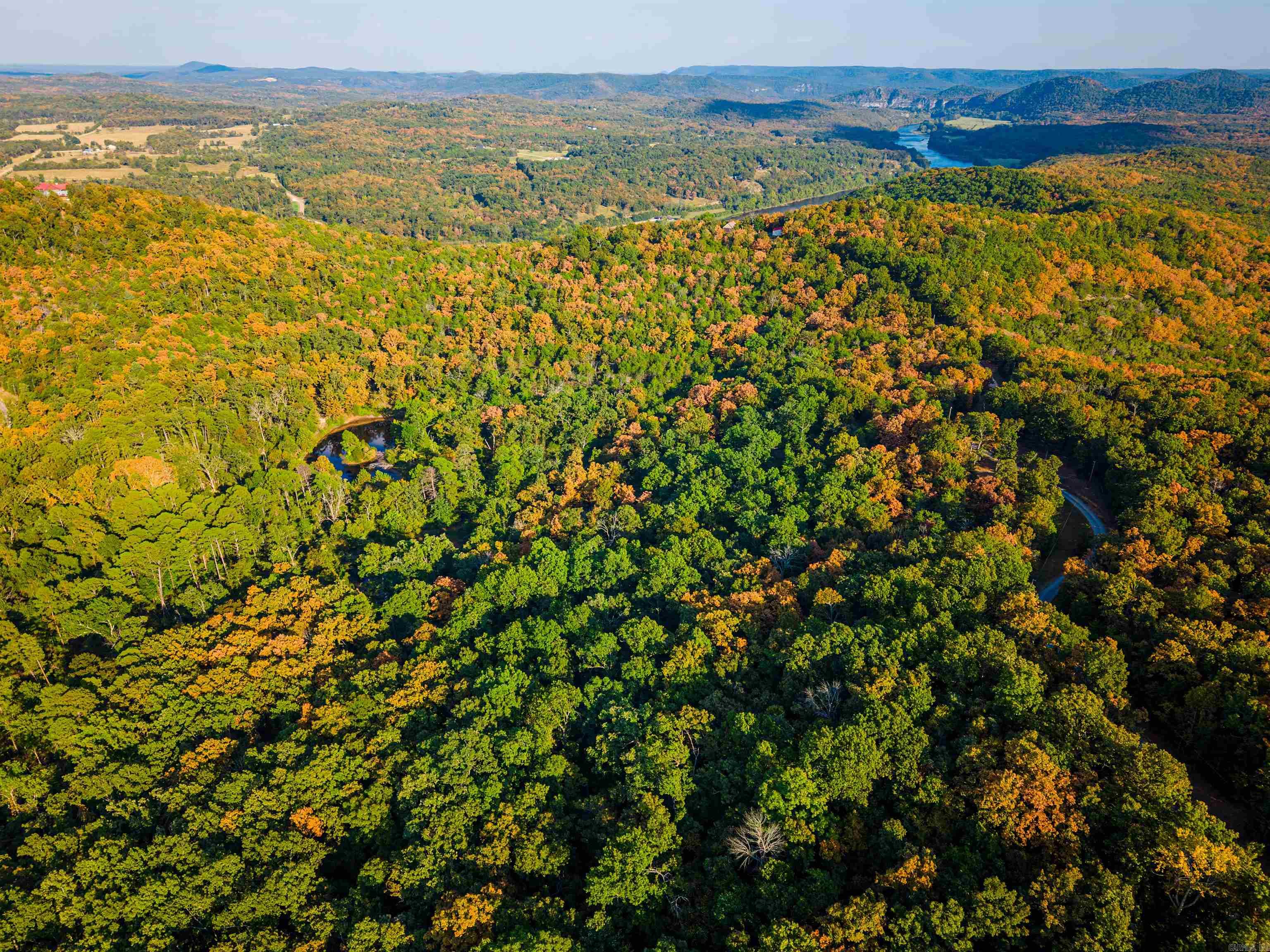 1499 Ollie Mountain Lane Property Photo 3