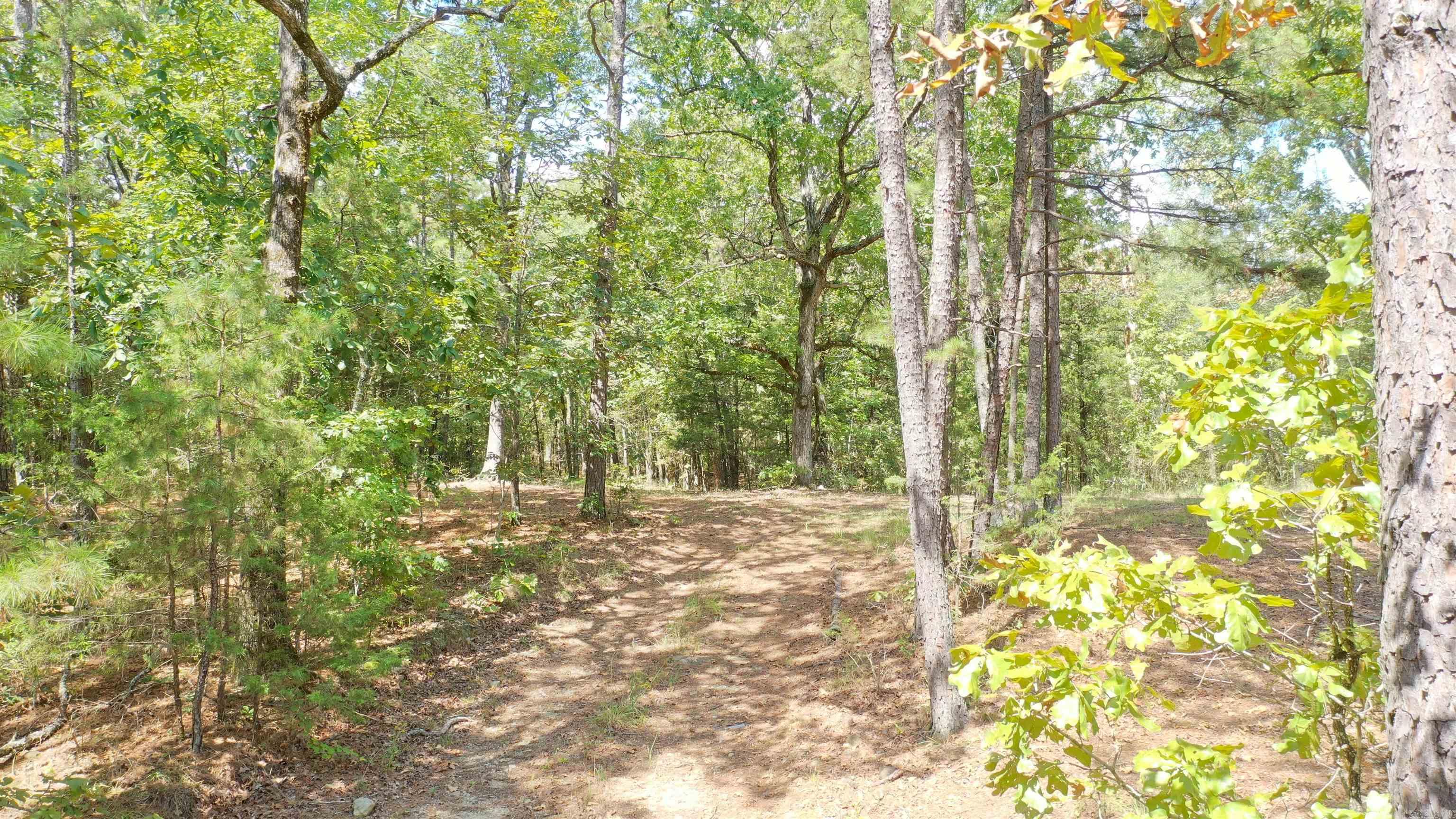 000 Rolling Oaks Lane Property Photo 1