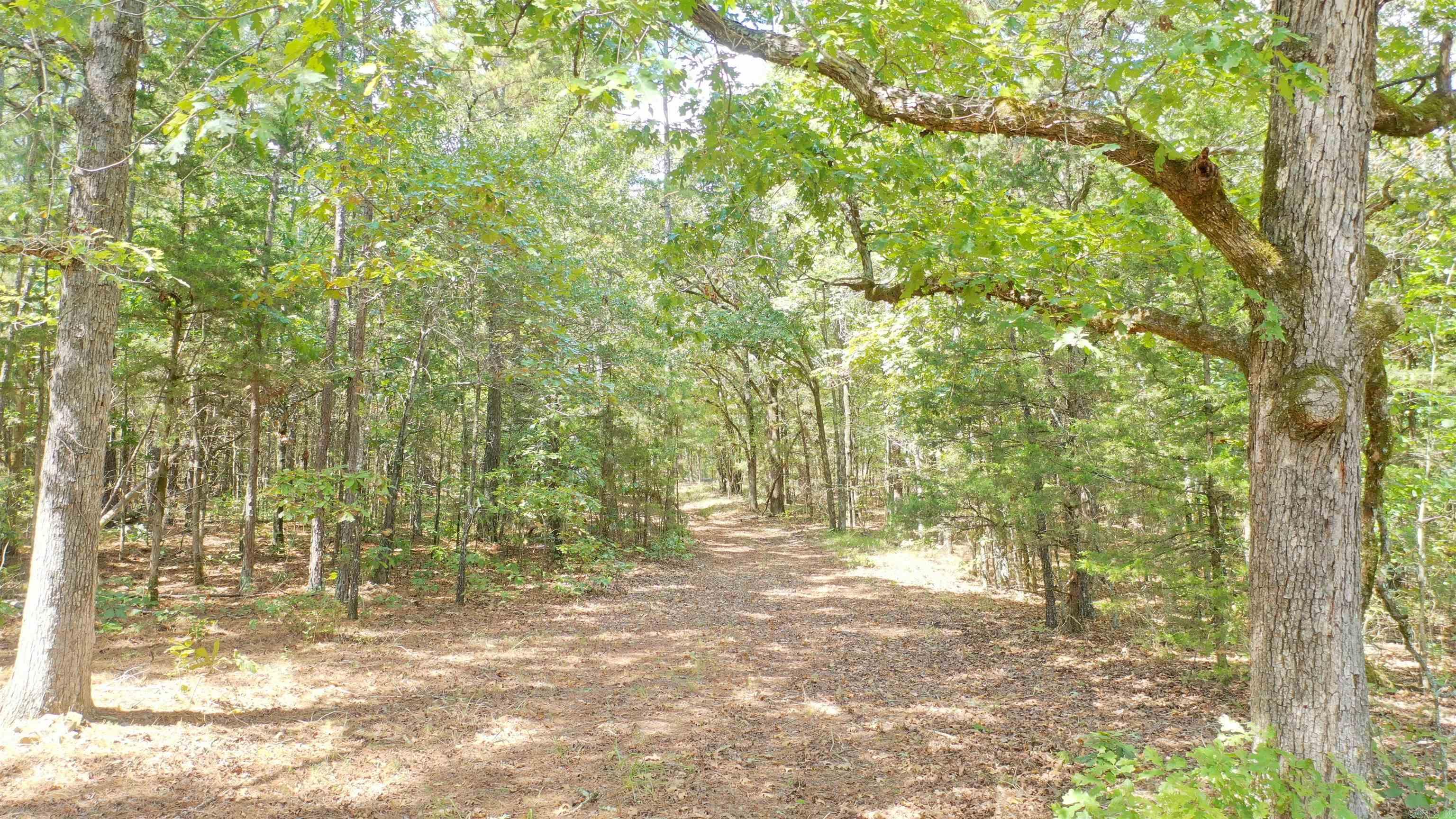 000 Rolling Oaks Lane Property Photo 2