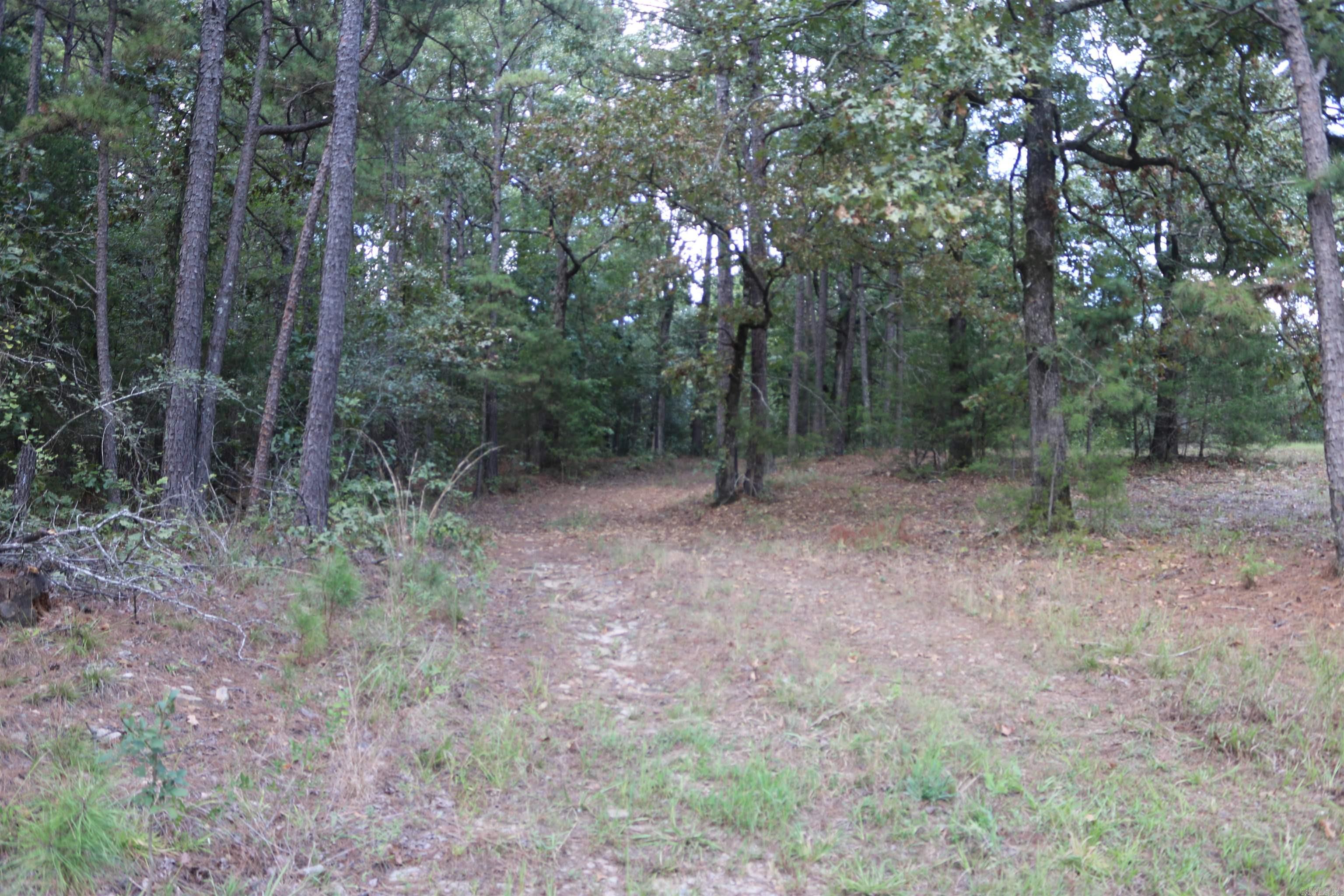 000 Rolling Oaks Lane Property Photo 3