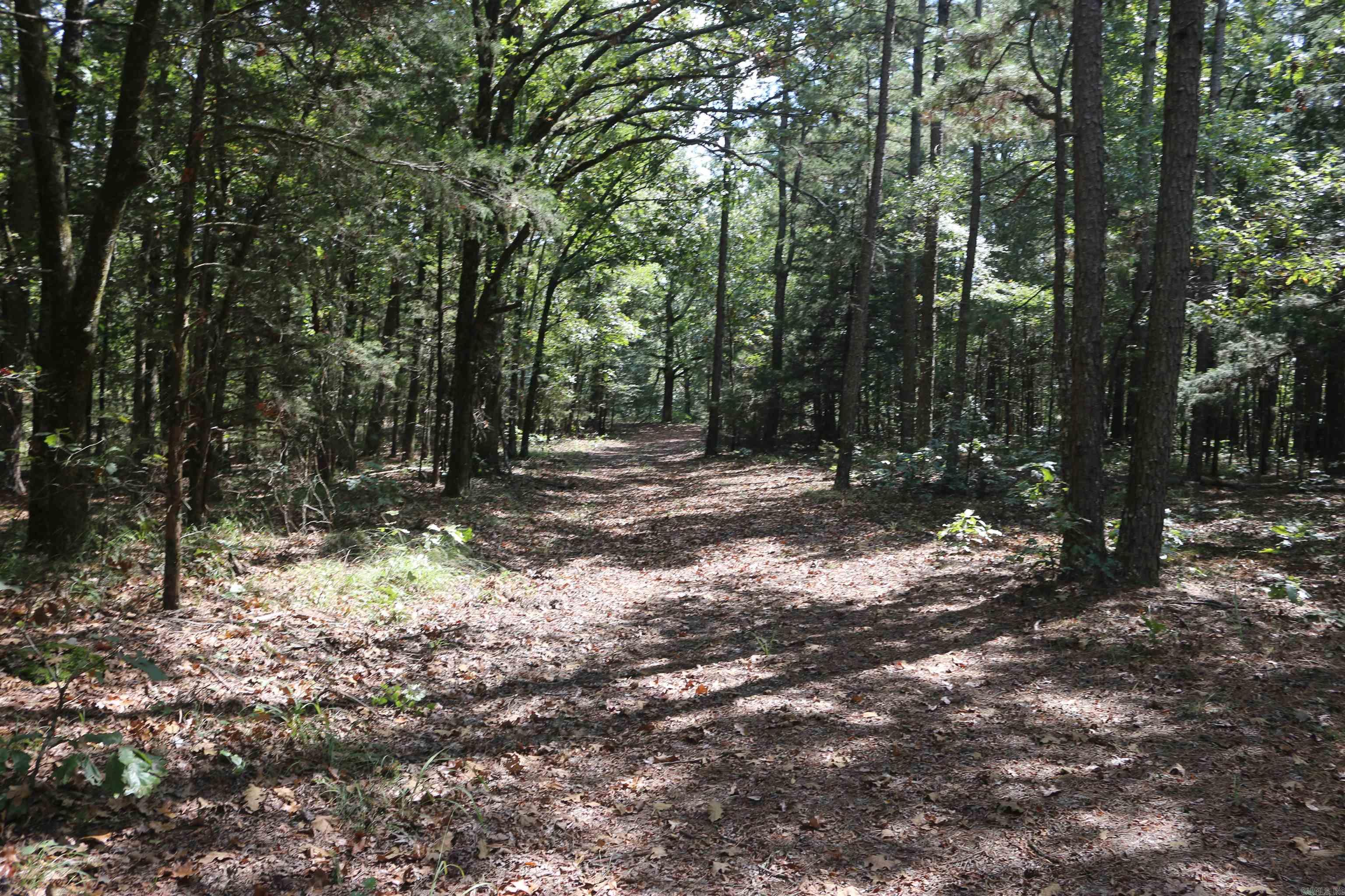 000 Rolling Oaks Lane Property Photo 4