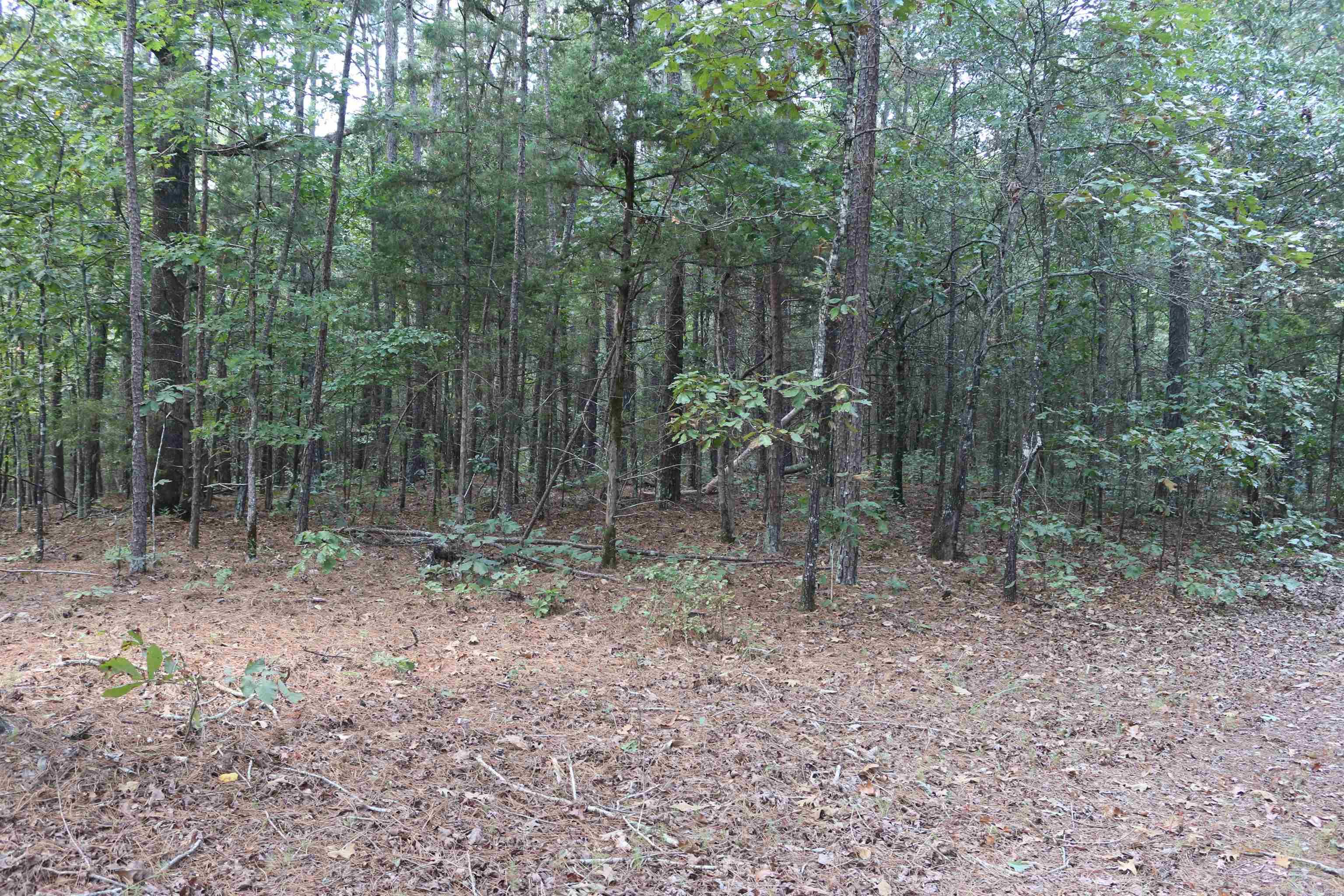 000 Rolling Oaks Lane Property Photo 6