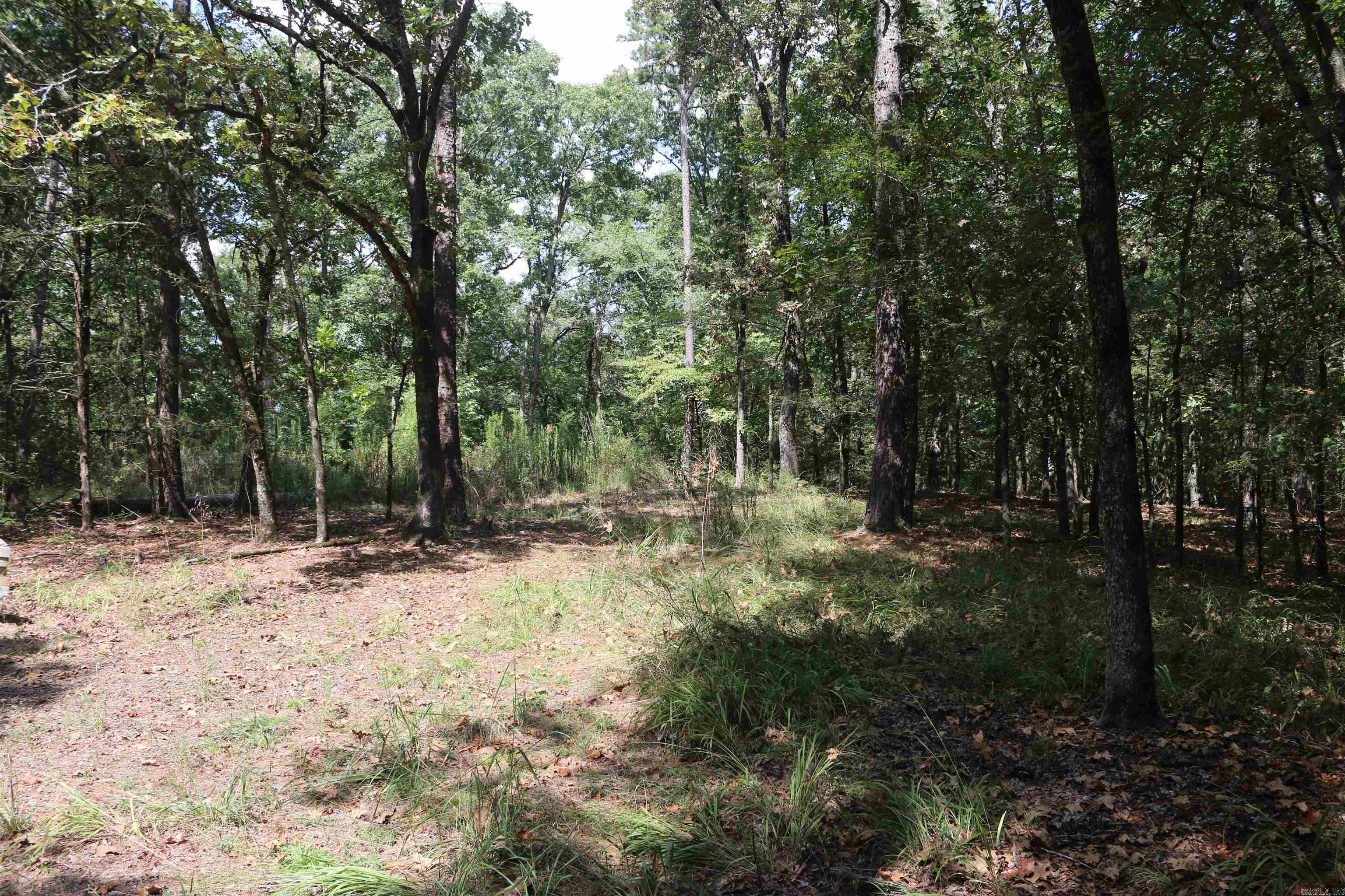 000 Rolling Oaks Lane Property Photo 7