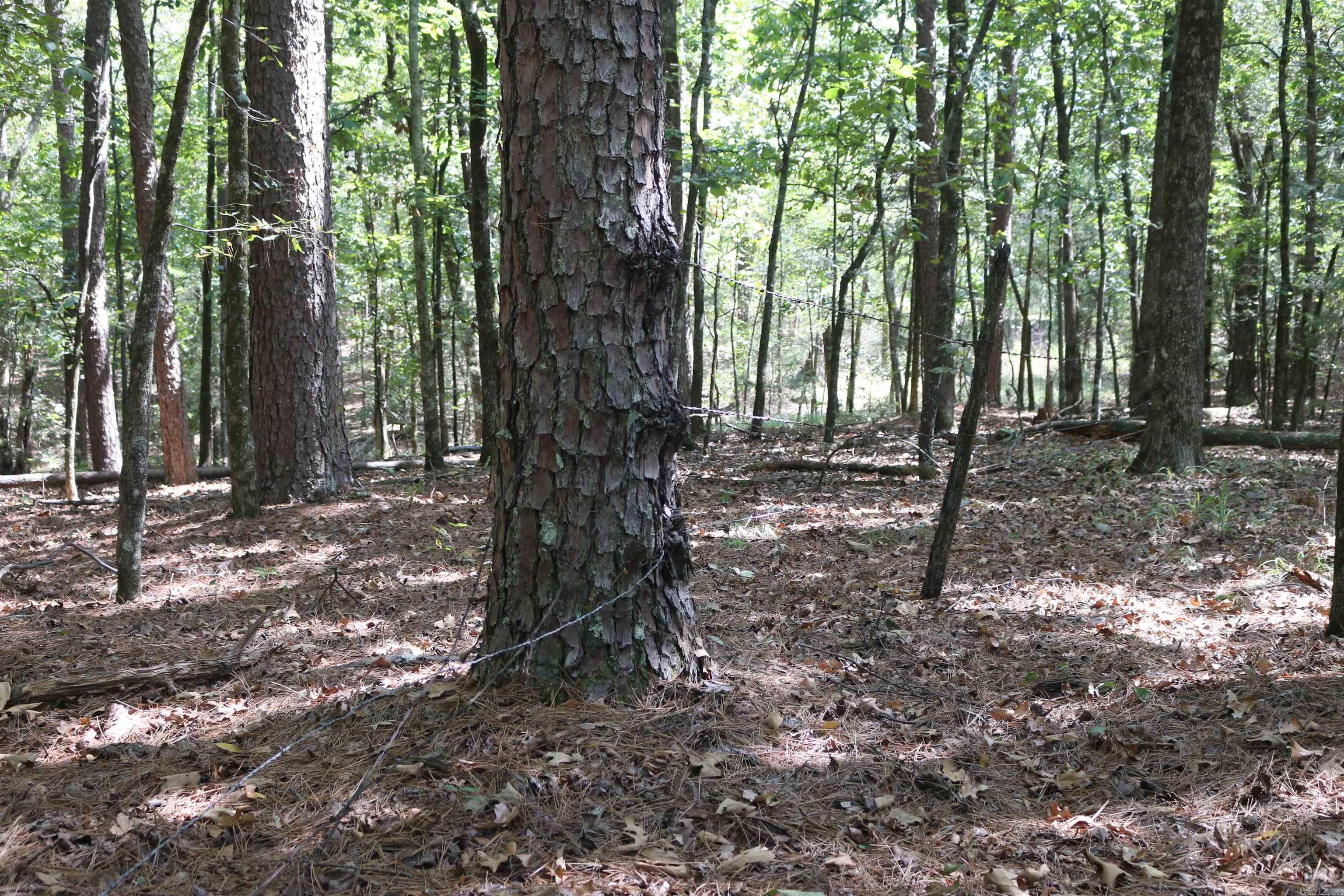 000 Rolling Oaks Lane Property Photo 8