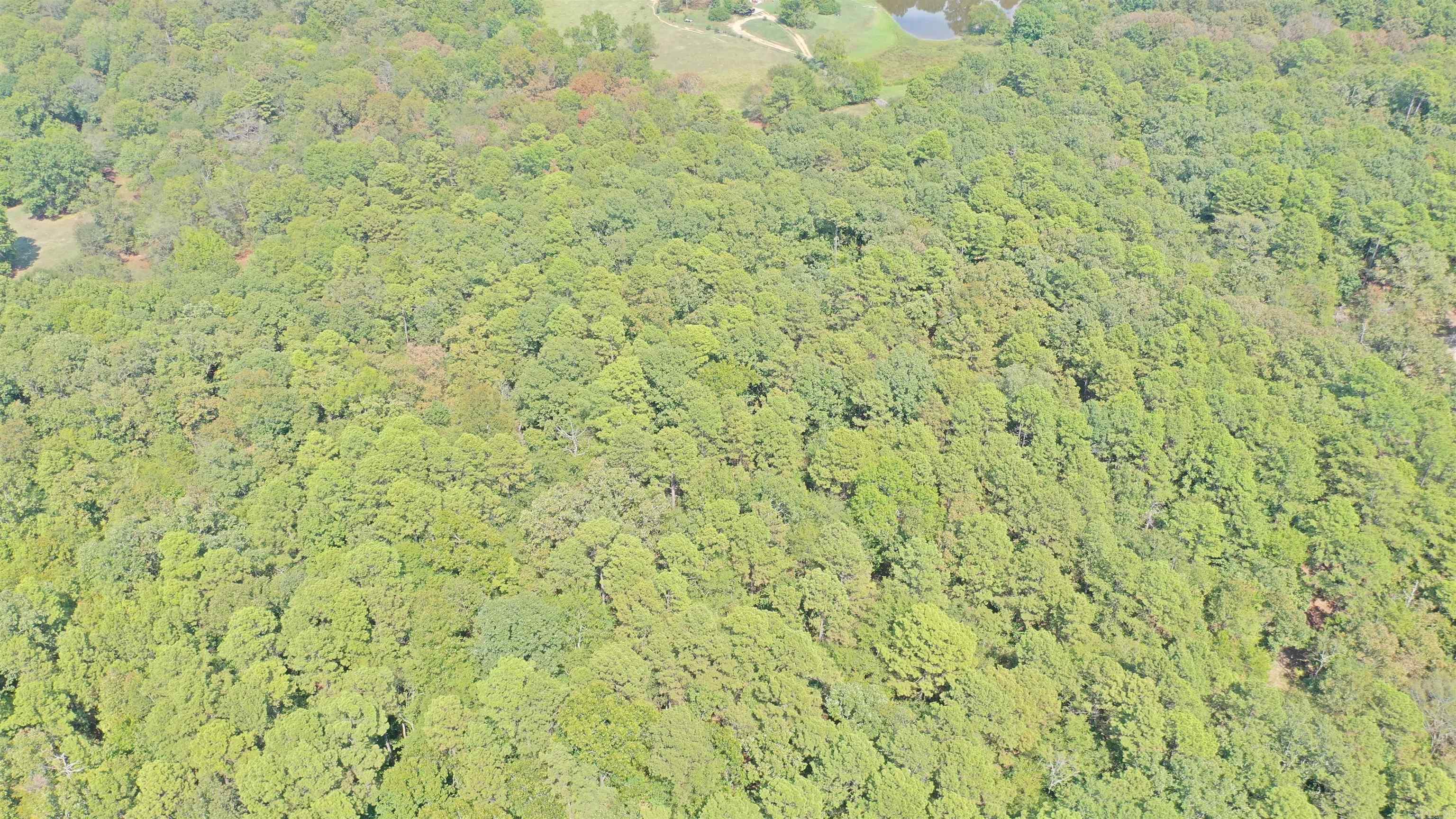 000 Rolling Oaks Lane Property Photo 16