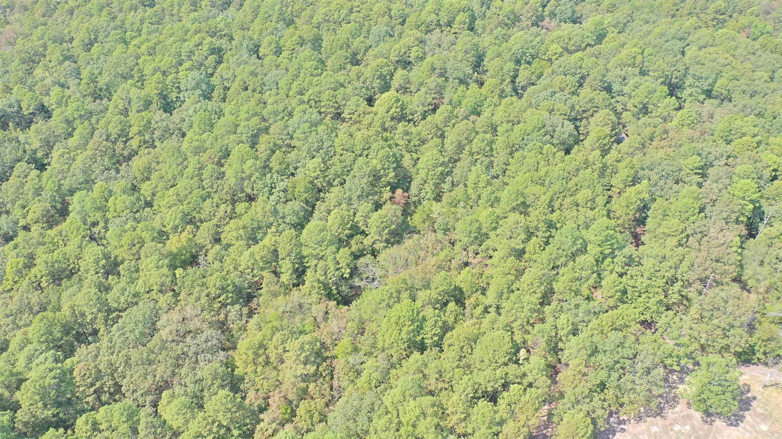 000 Rolling Oaks Lane Property Photo 18