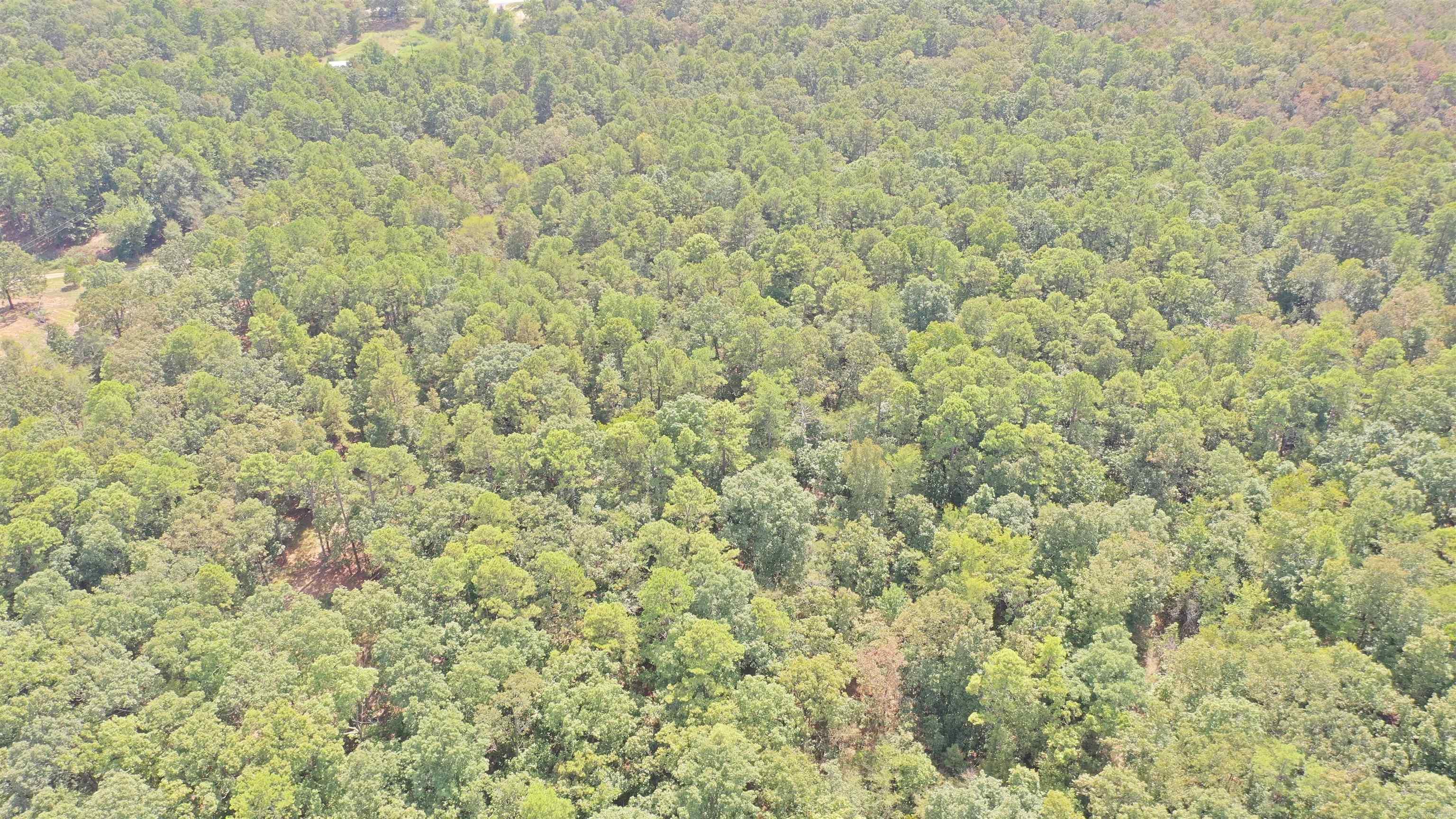 000 Rolling Oaks Lane Property Photo 19