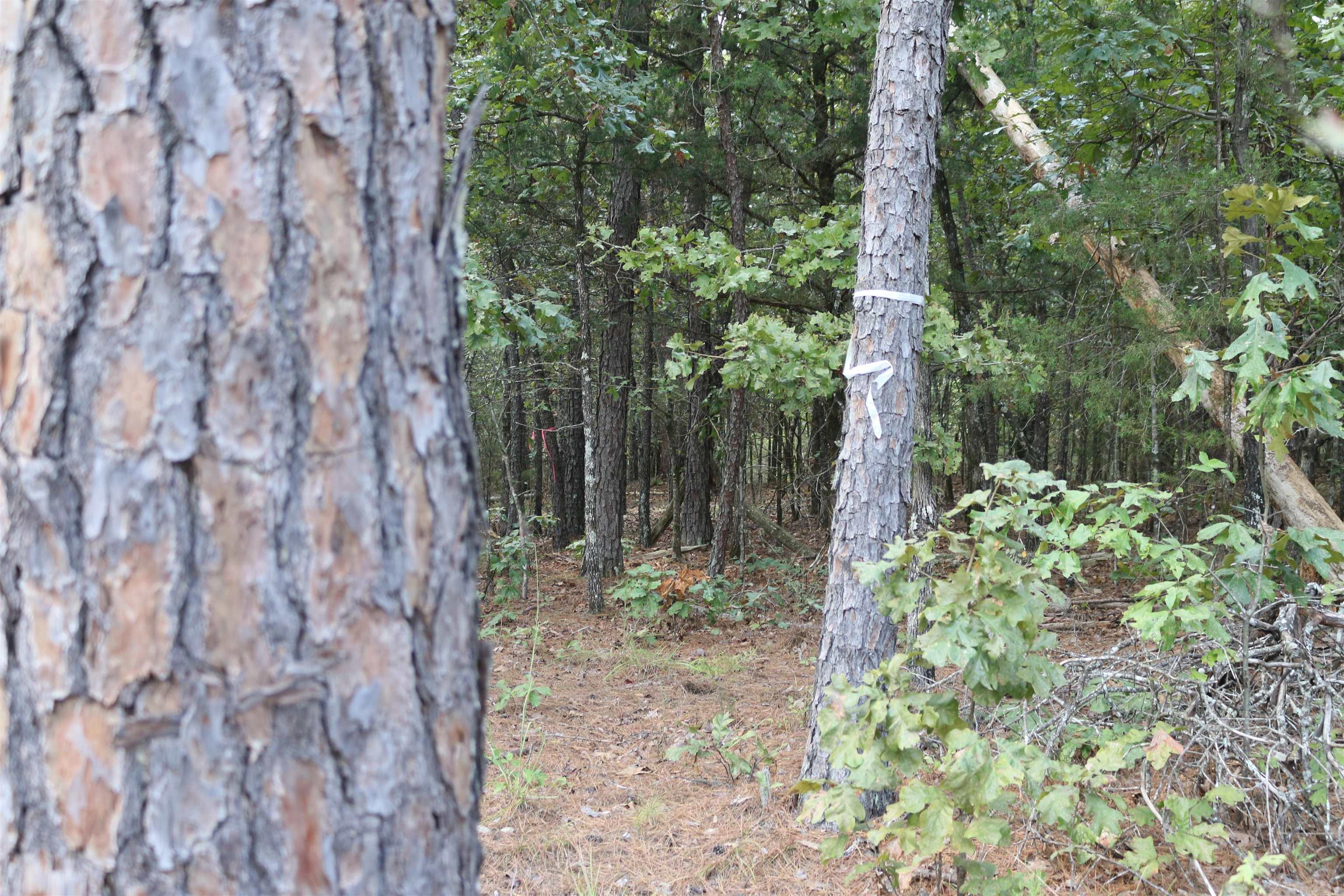 000 Rolling Oaks Lane Property Photo 23