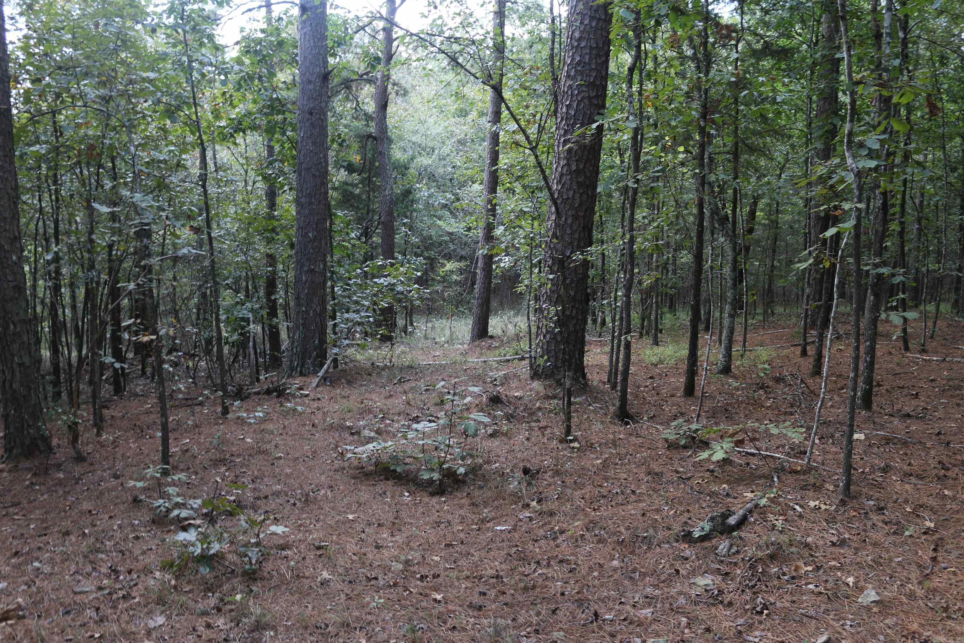 000 Rolling Oaks Lane Property Photo 26