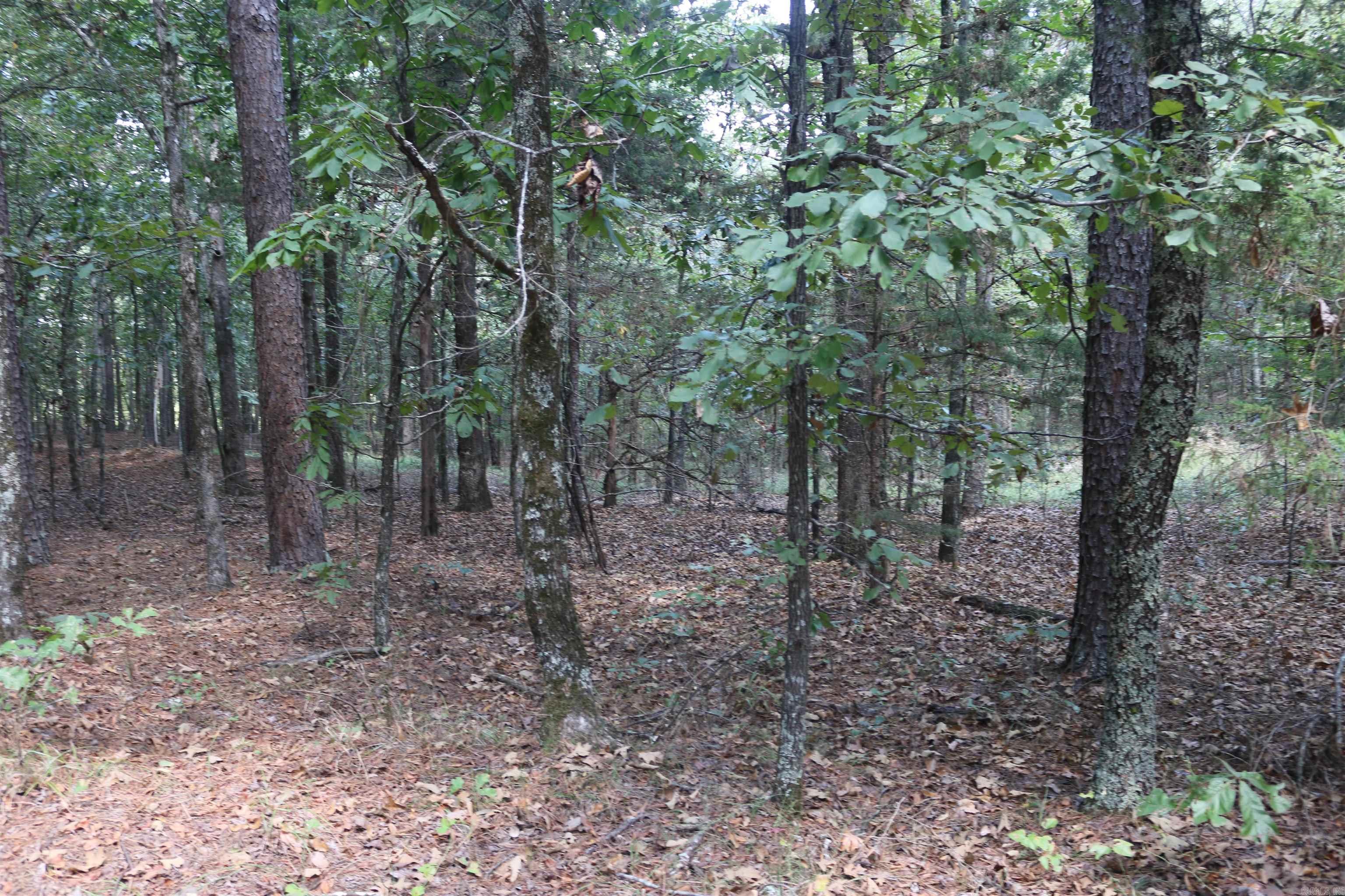 000 Rolling Oaks Lane Property Photo 31
