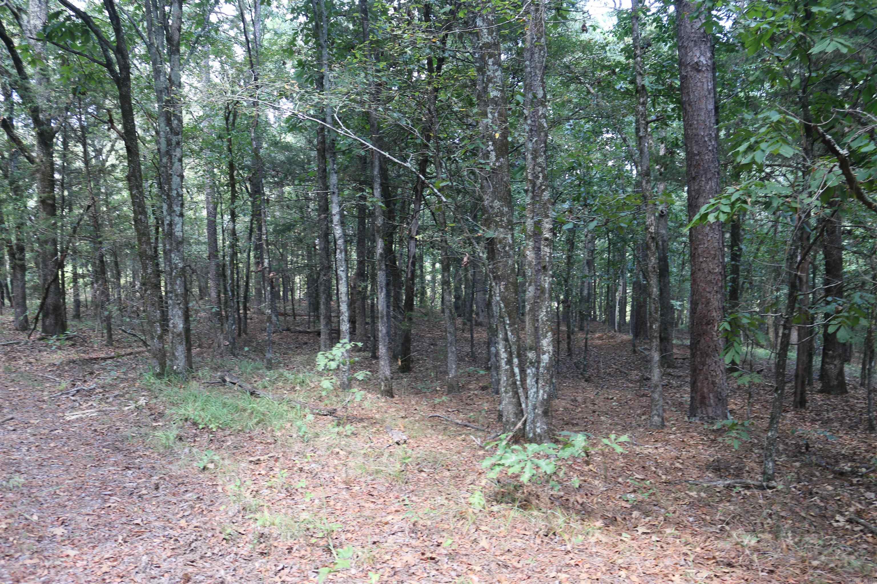 000 Rolling Oaks Lane Property Photo 32