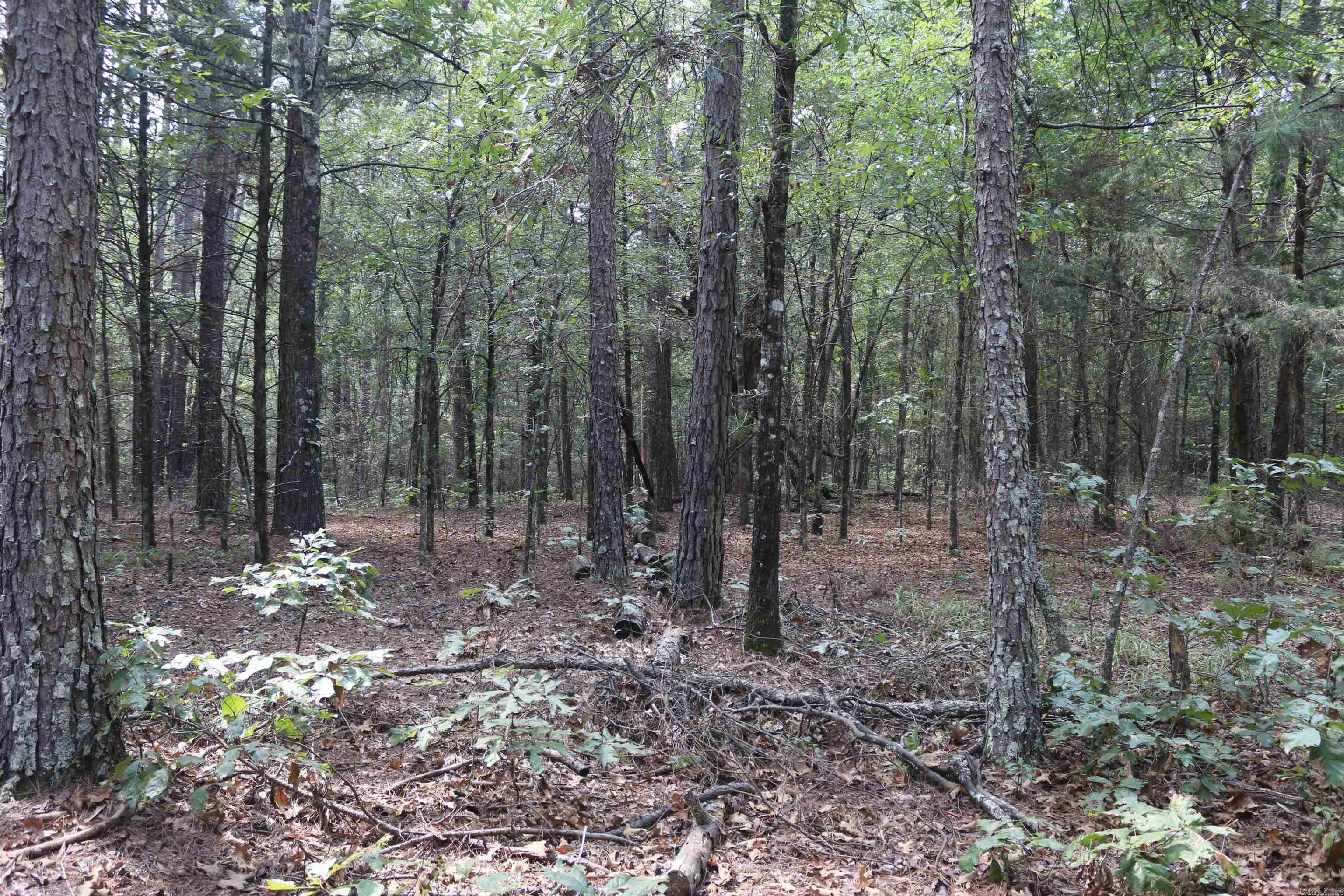 000 Rolling Oaks Lane Property Photo 33