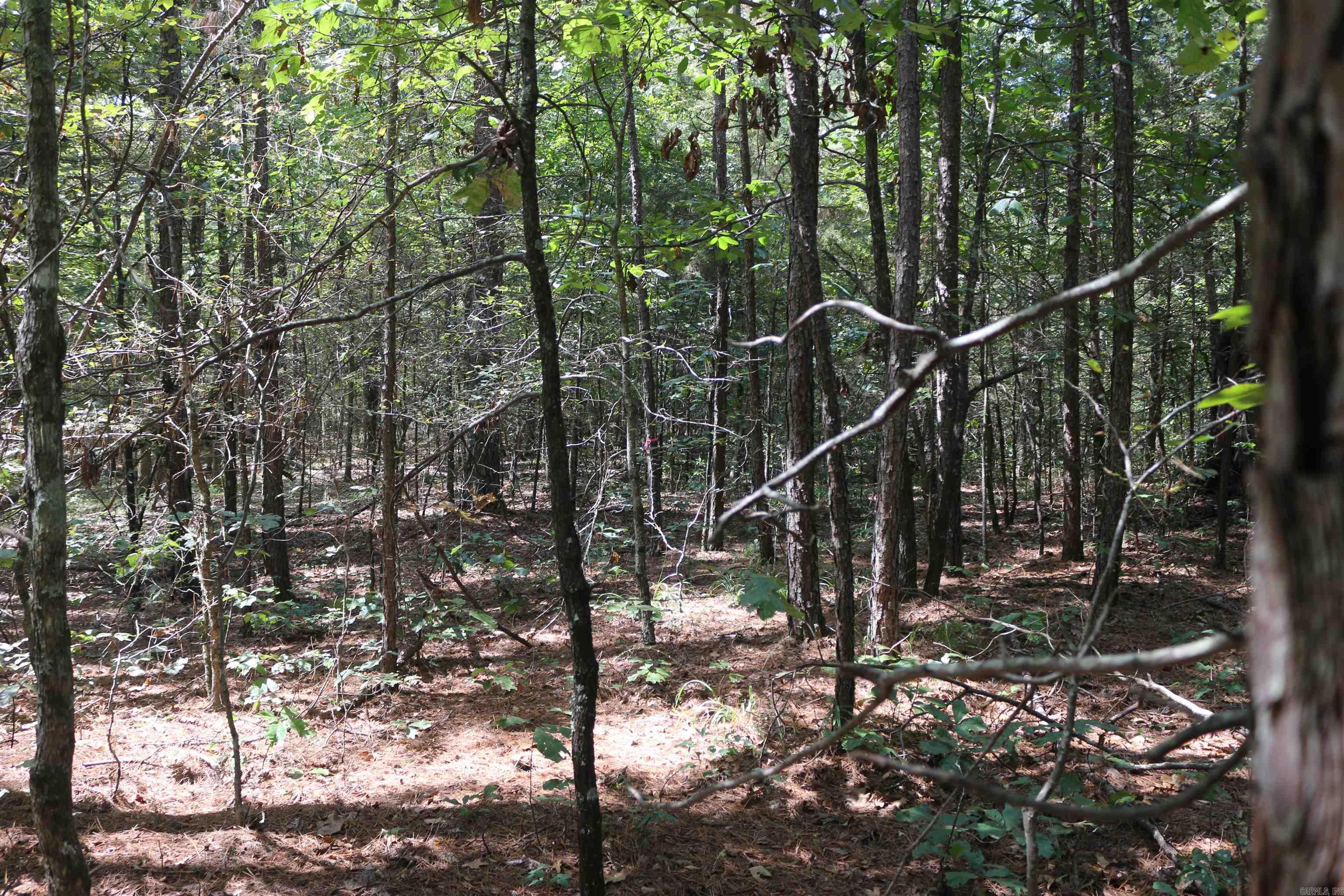 000 Rolling Oaks Lane Property Photo 34