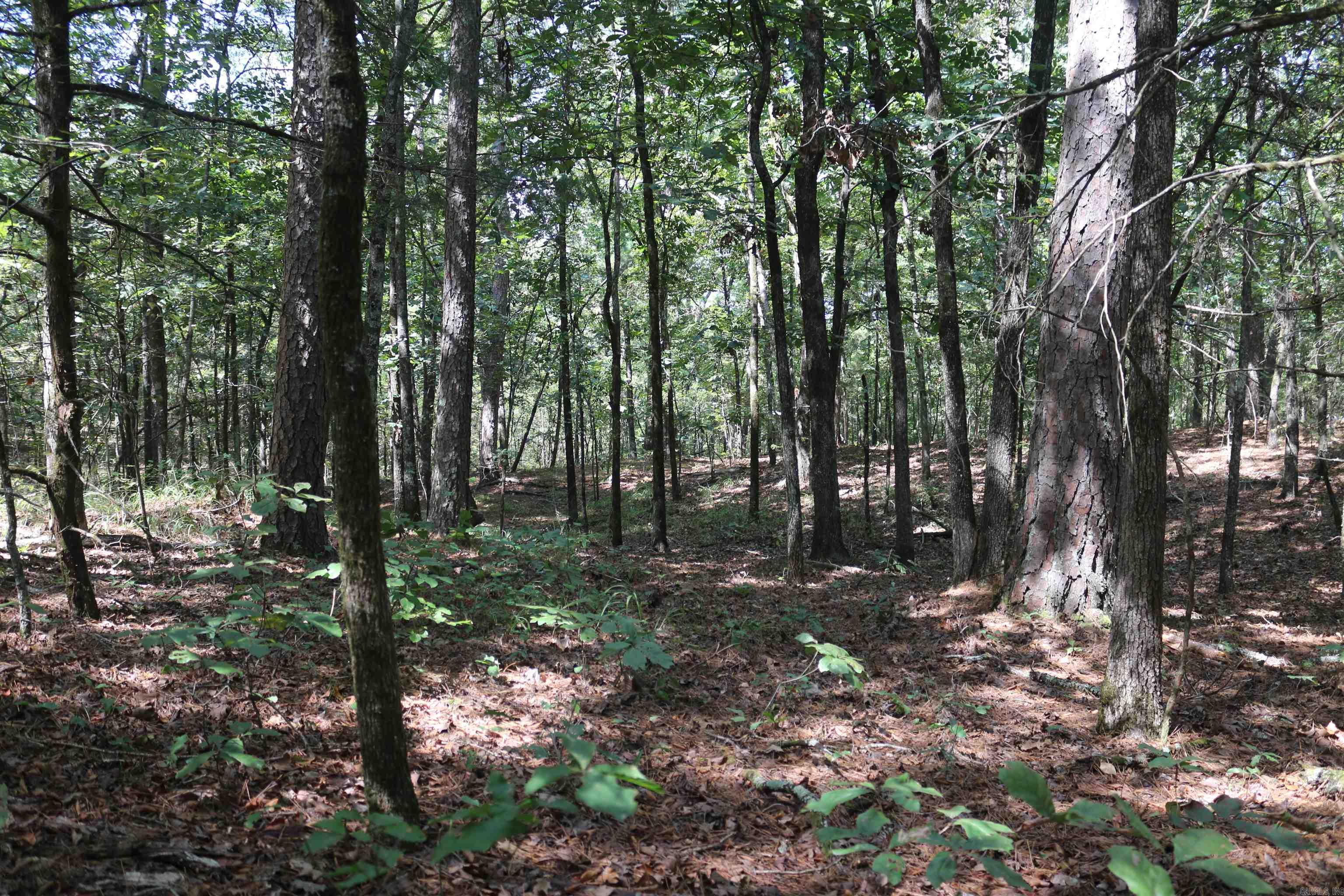 000 Rolling Oaks Lane Property Photo 35