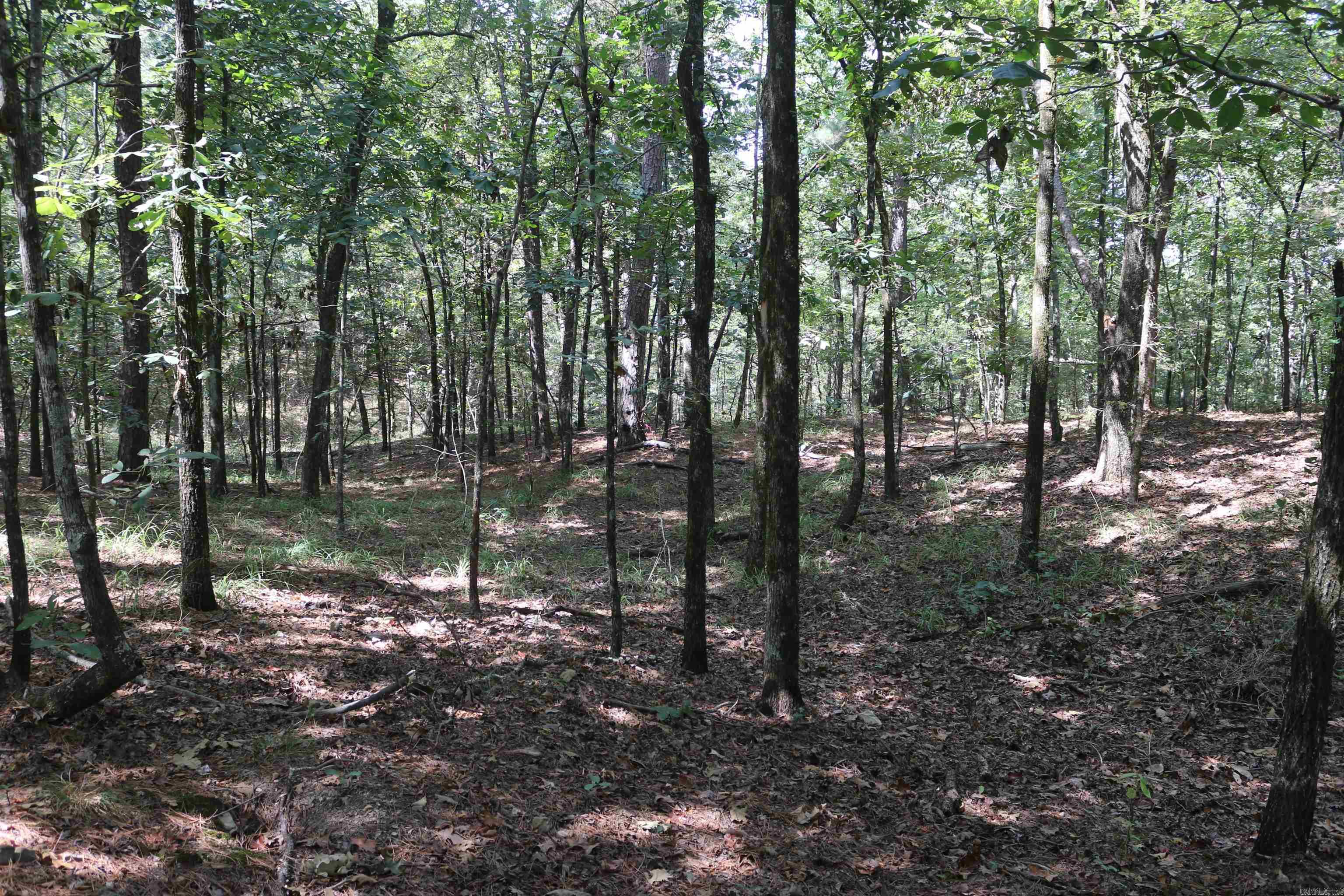 000 Rolling Oaks Lane Property Photo 36